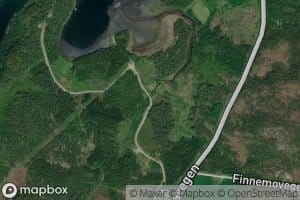 Saltelva
