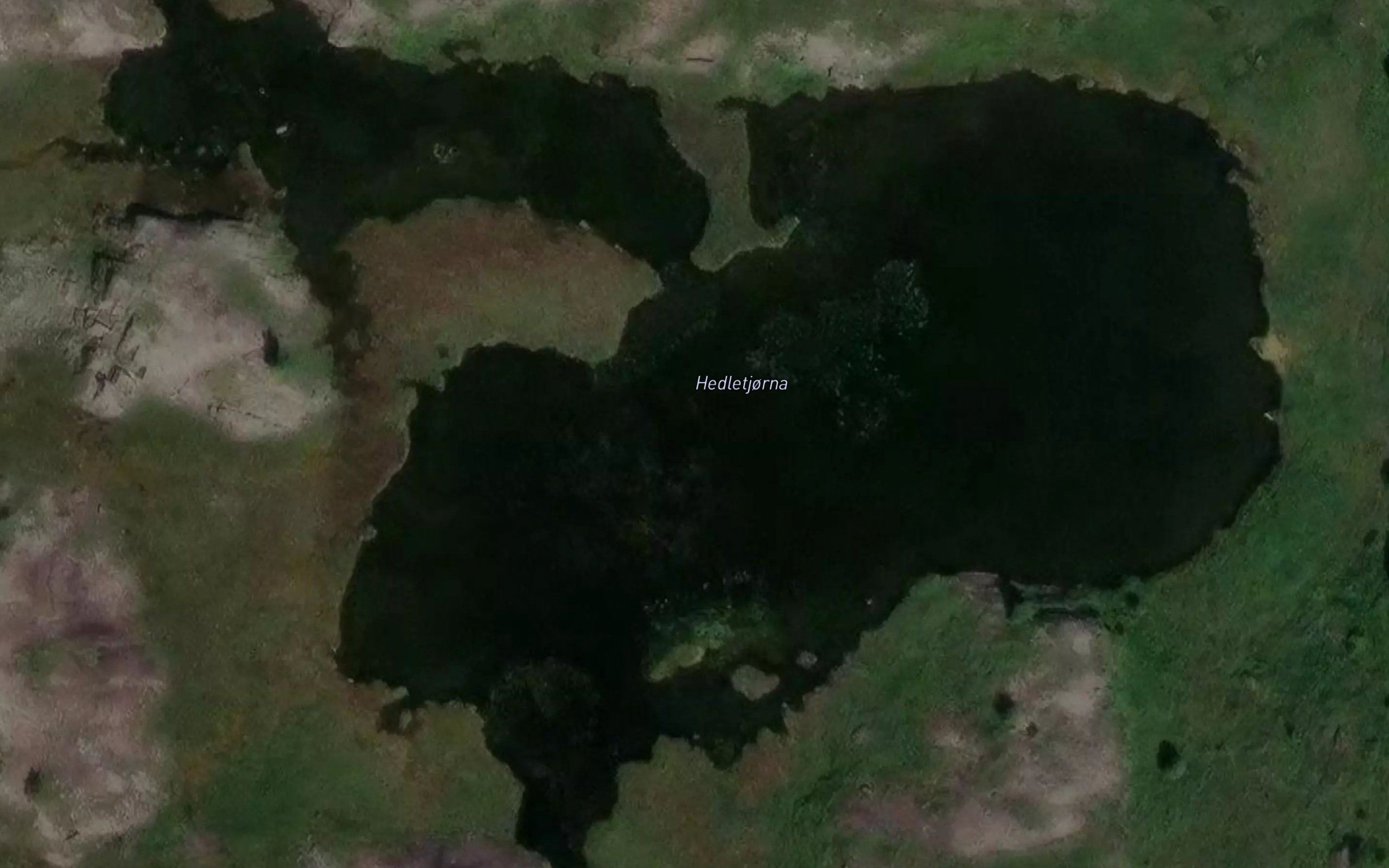 Hedletjorna