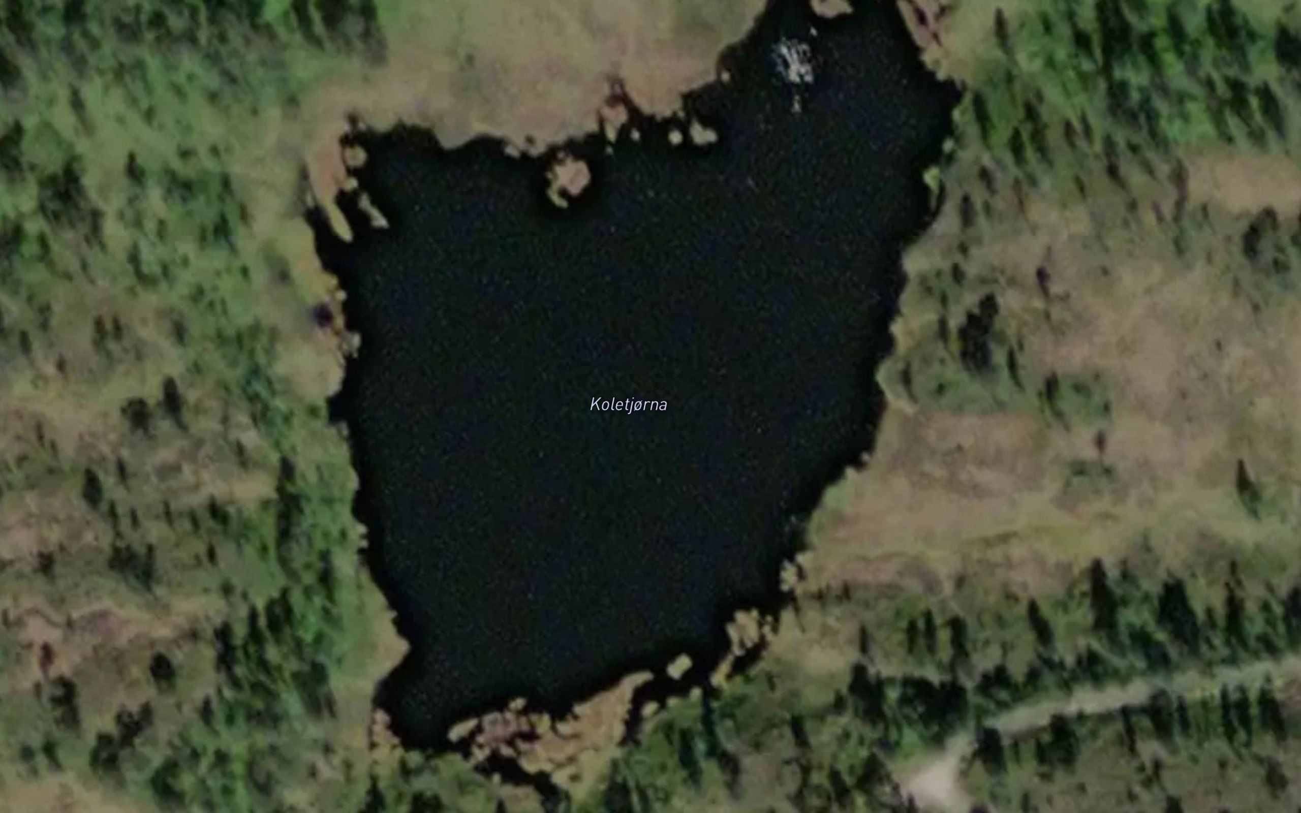Koletjorna