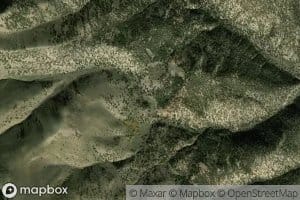 Mountain Lion Spring