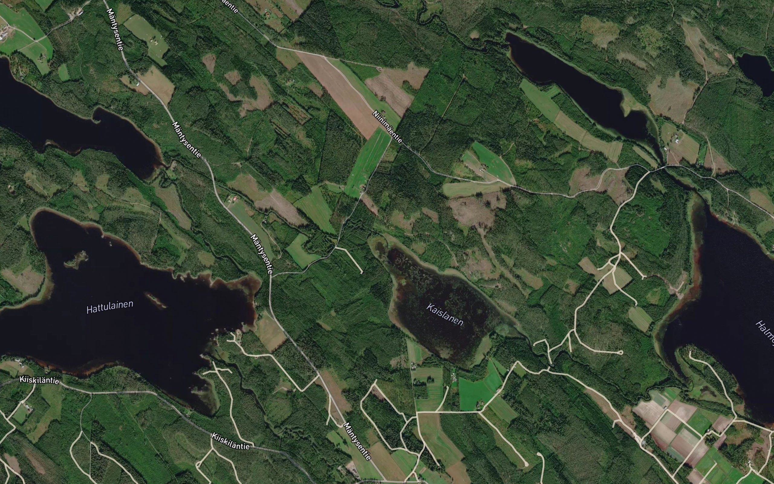Tikanjoki