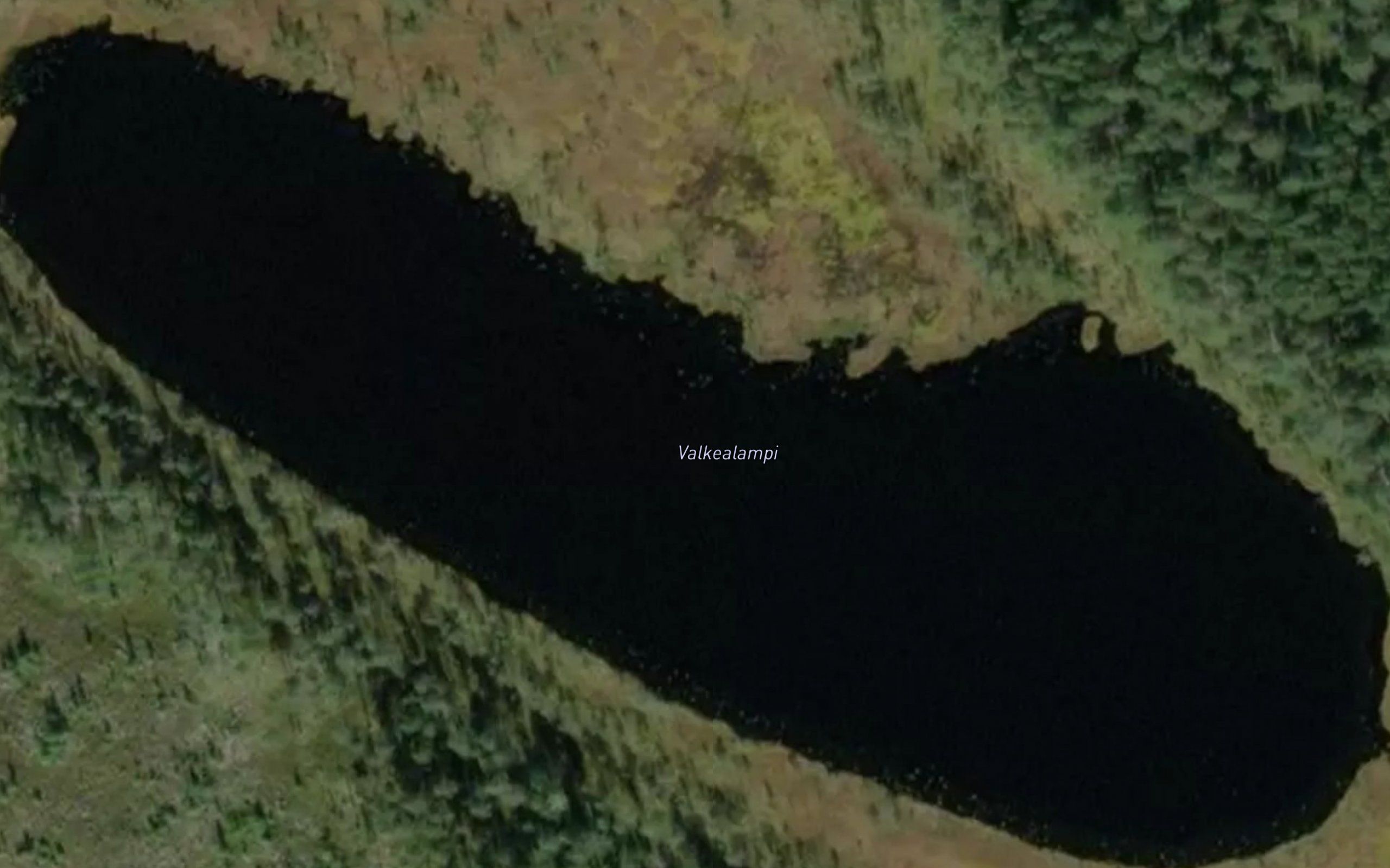 Valkealampi