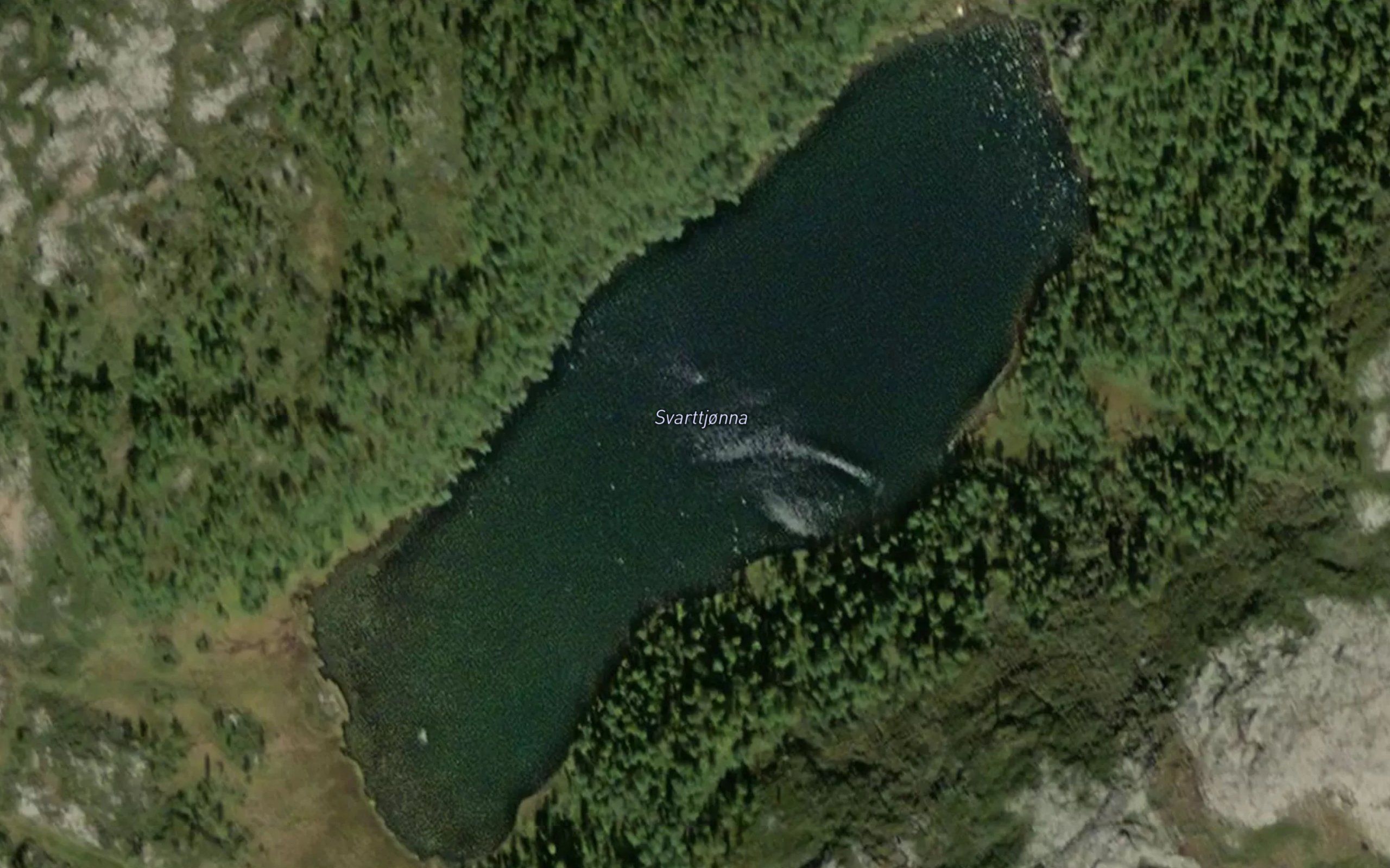 Svarttjonna