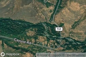 Buckaroo Creek