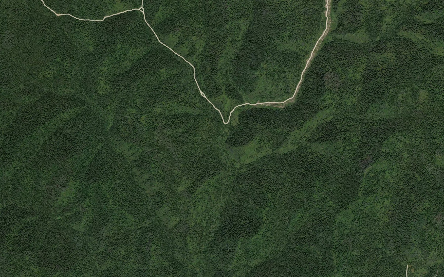 Satellite map of the Bol'shoy Korol'