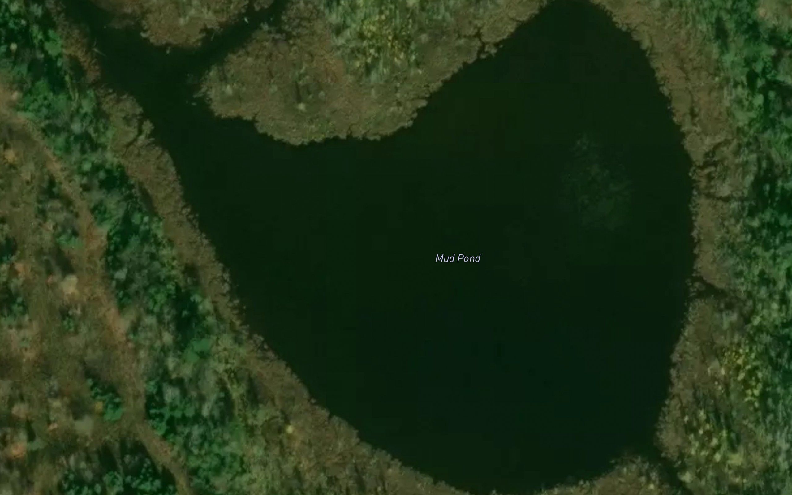 Mud Pond