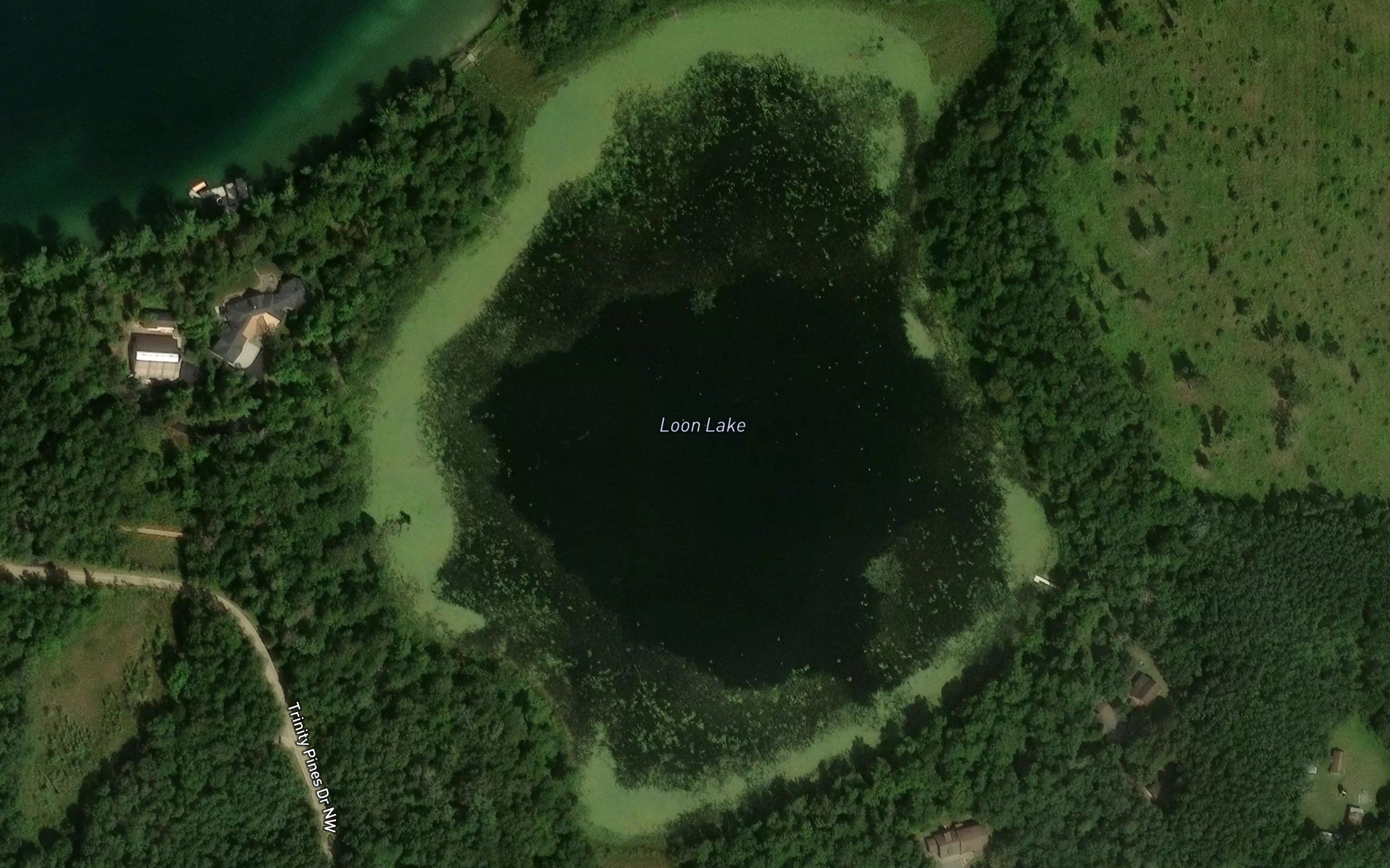 Loon Lake