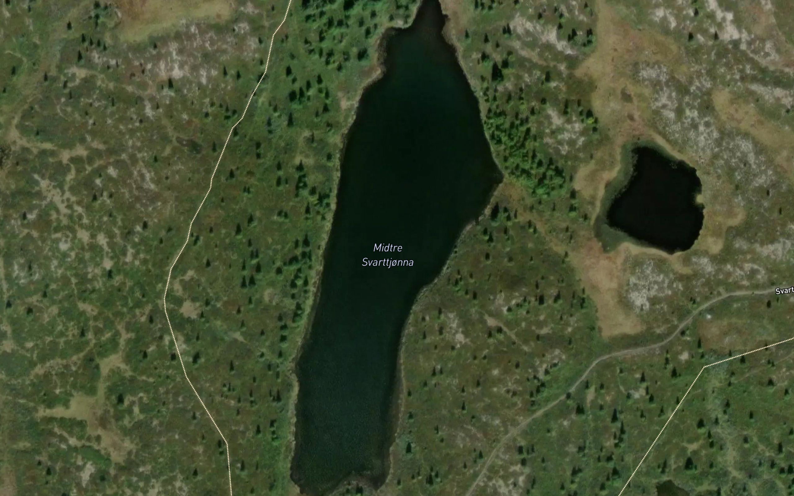 Svarttjornin,midtre