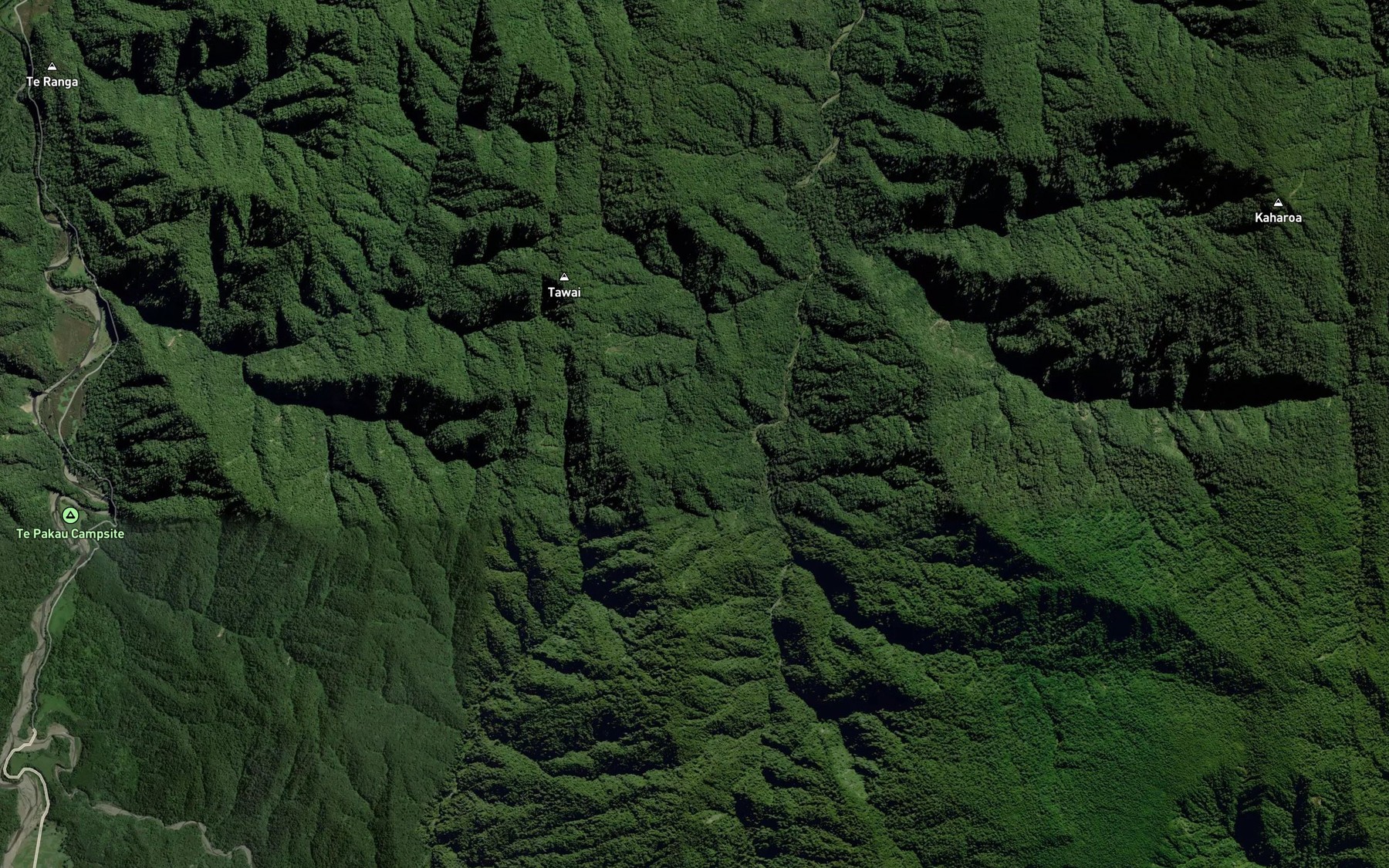 Satellite map of the Waiiti Stream