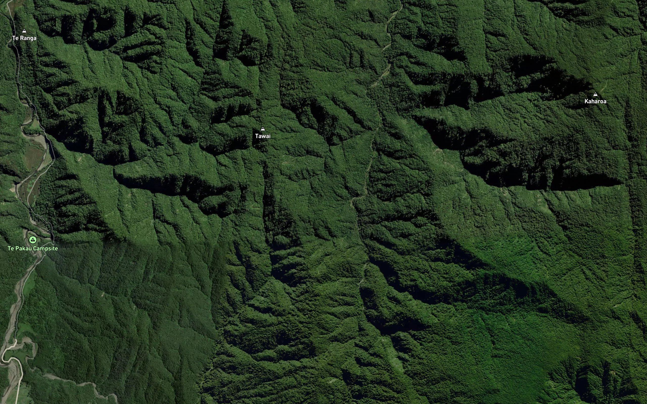 Waiiti Stream