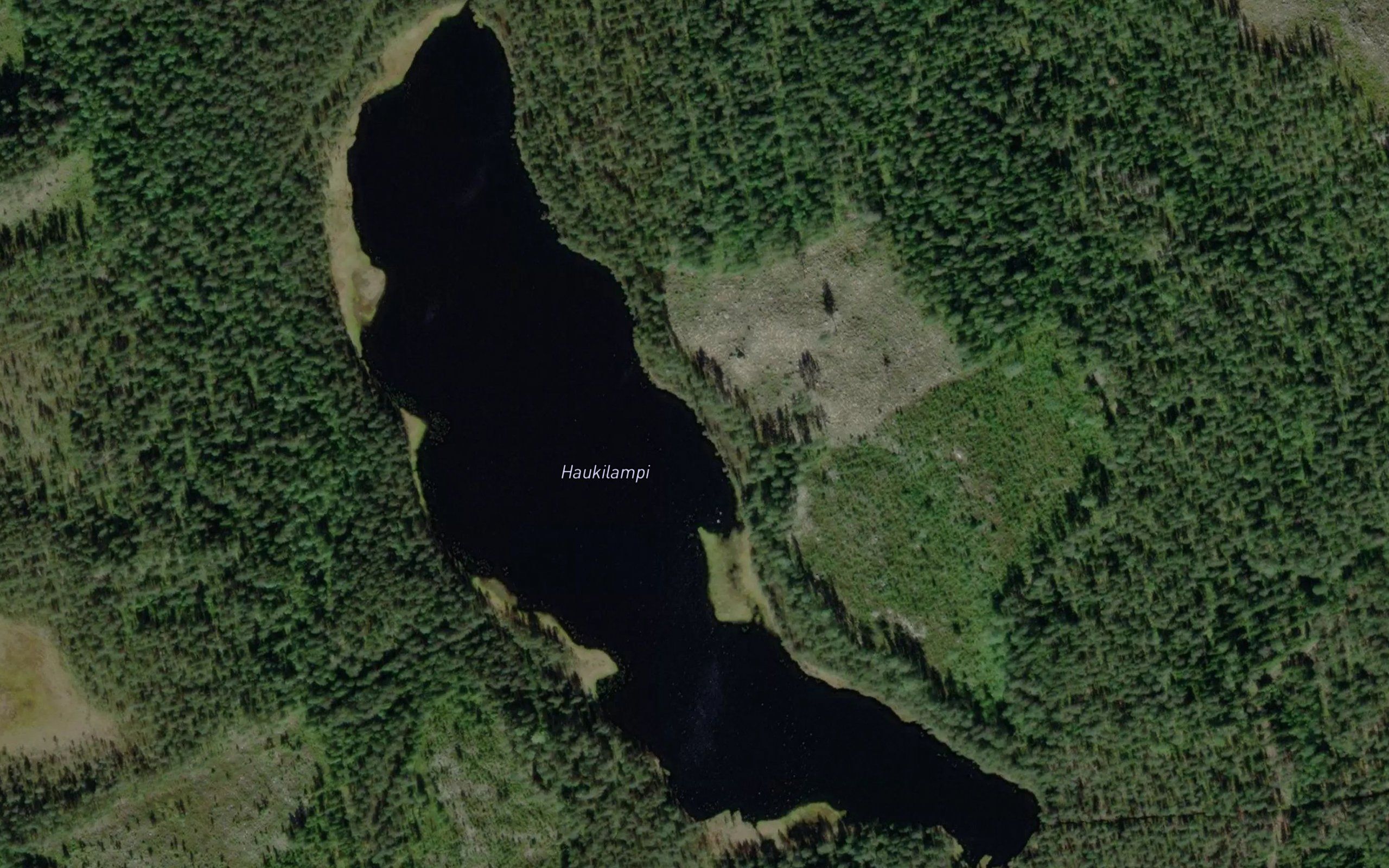 Haukilampi
