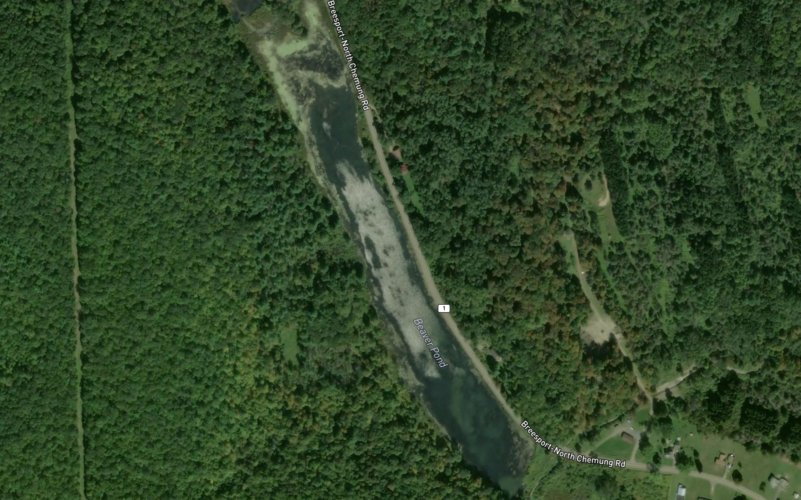 Beaver Pond