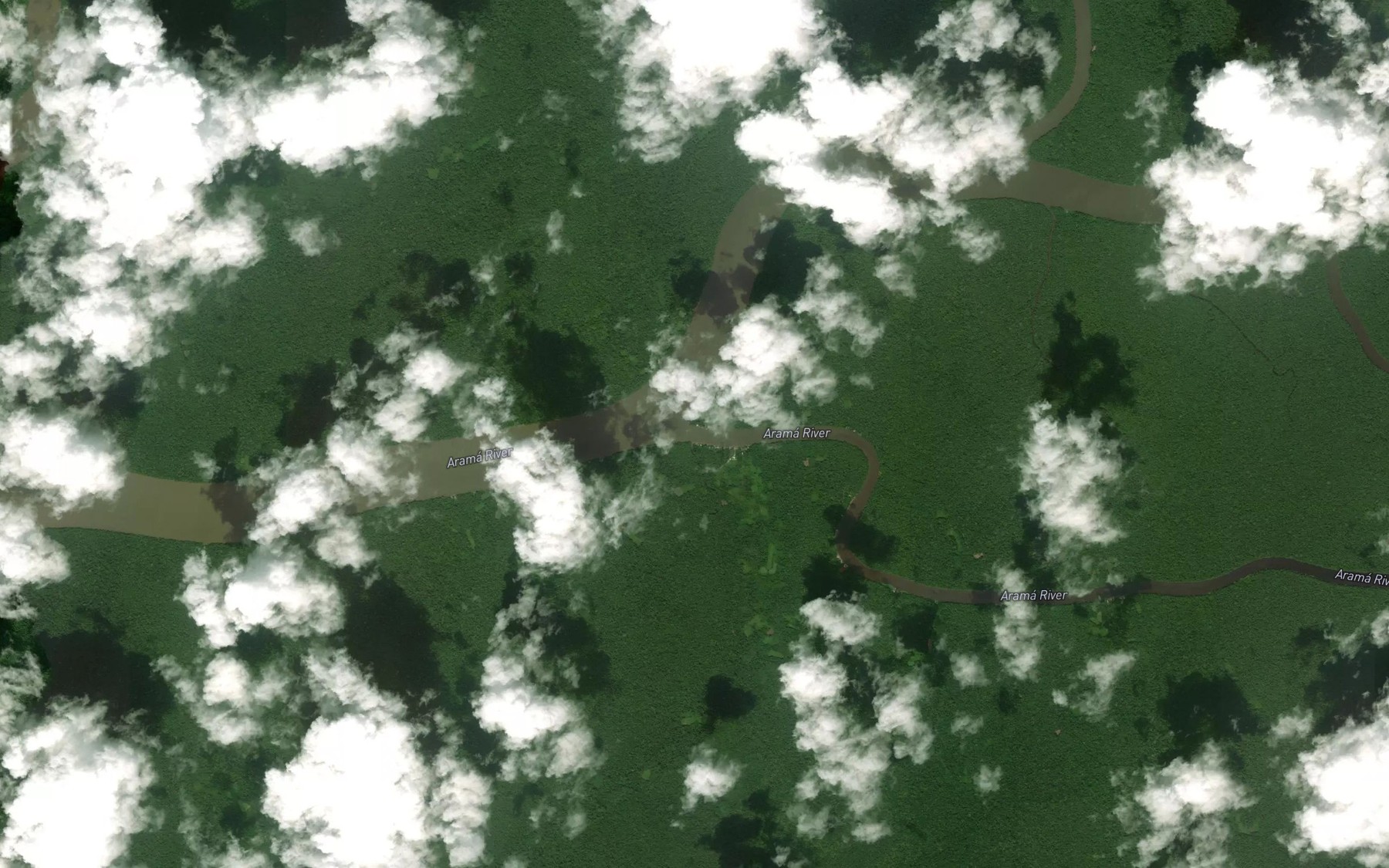 Satellite map of the Rio Arama Grande