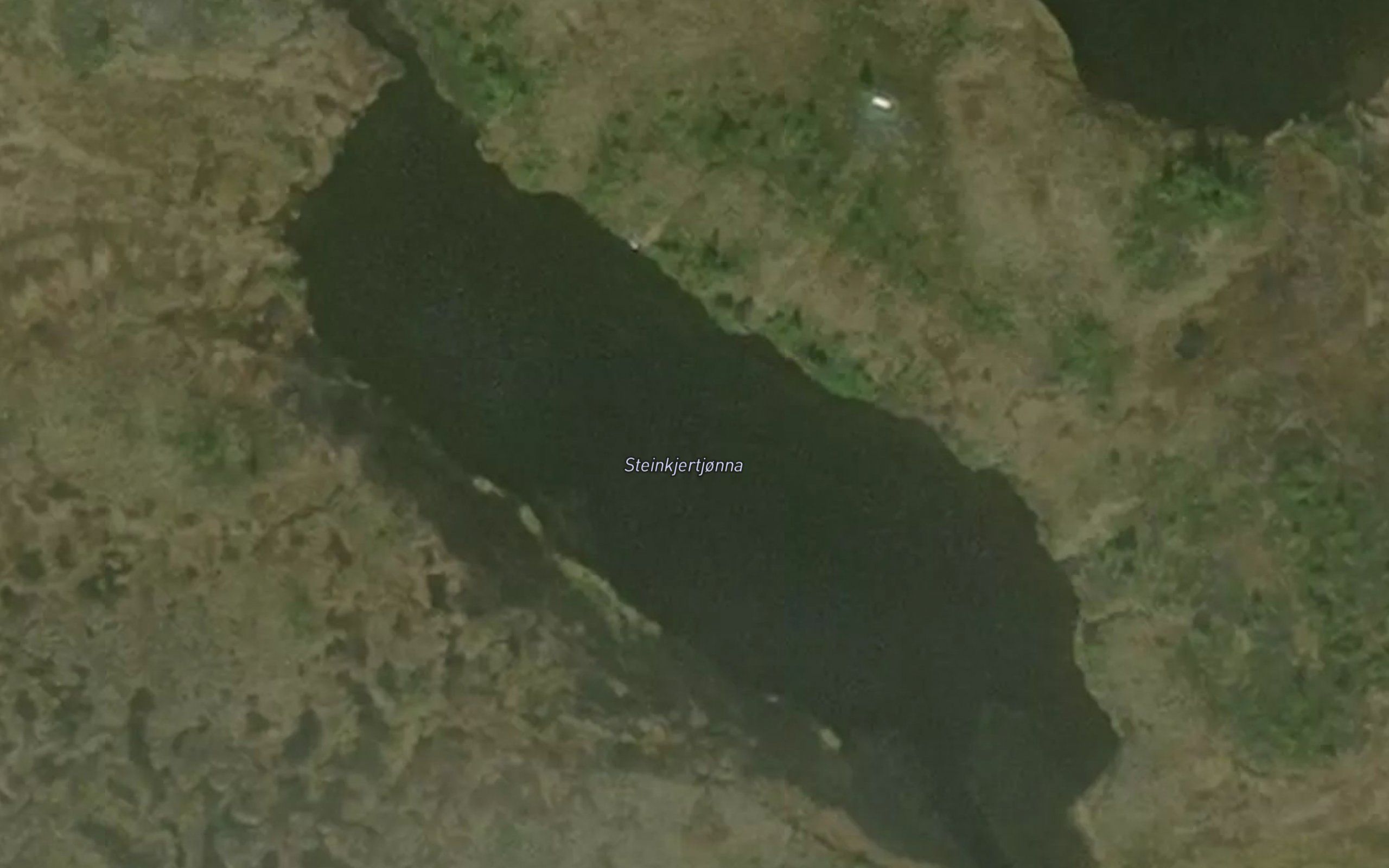 Steinkjertjorna