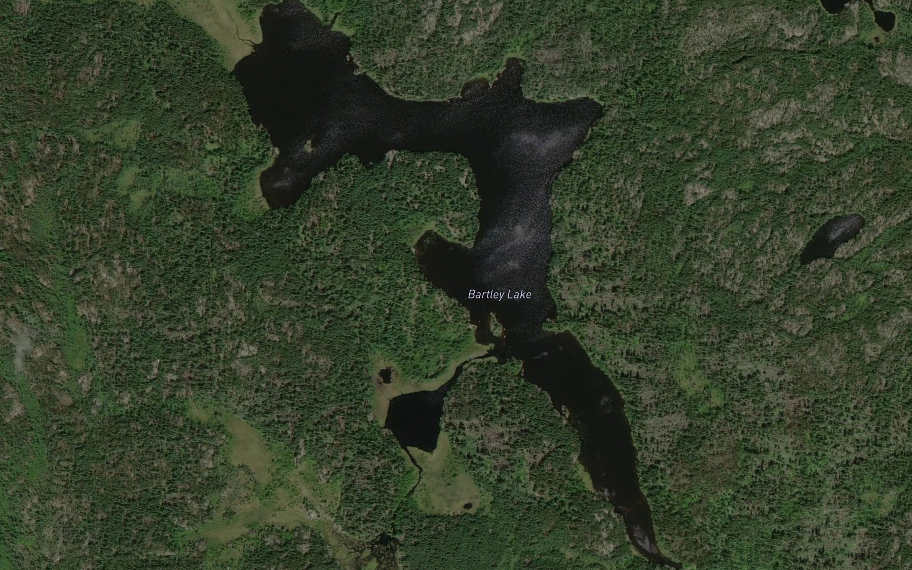 Satellite map of the Bartley Lake