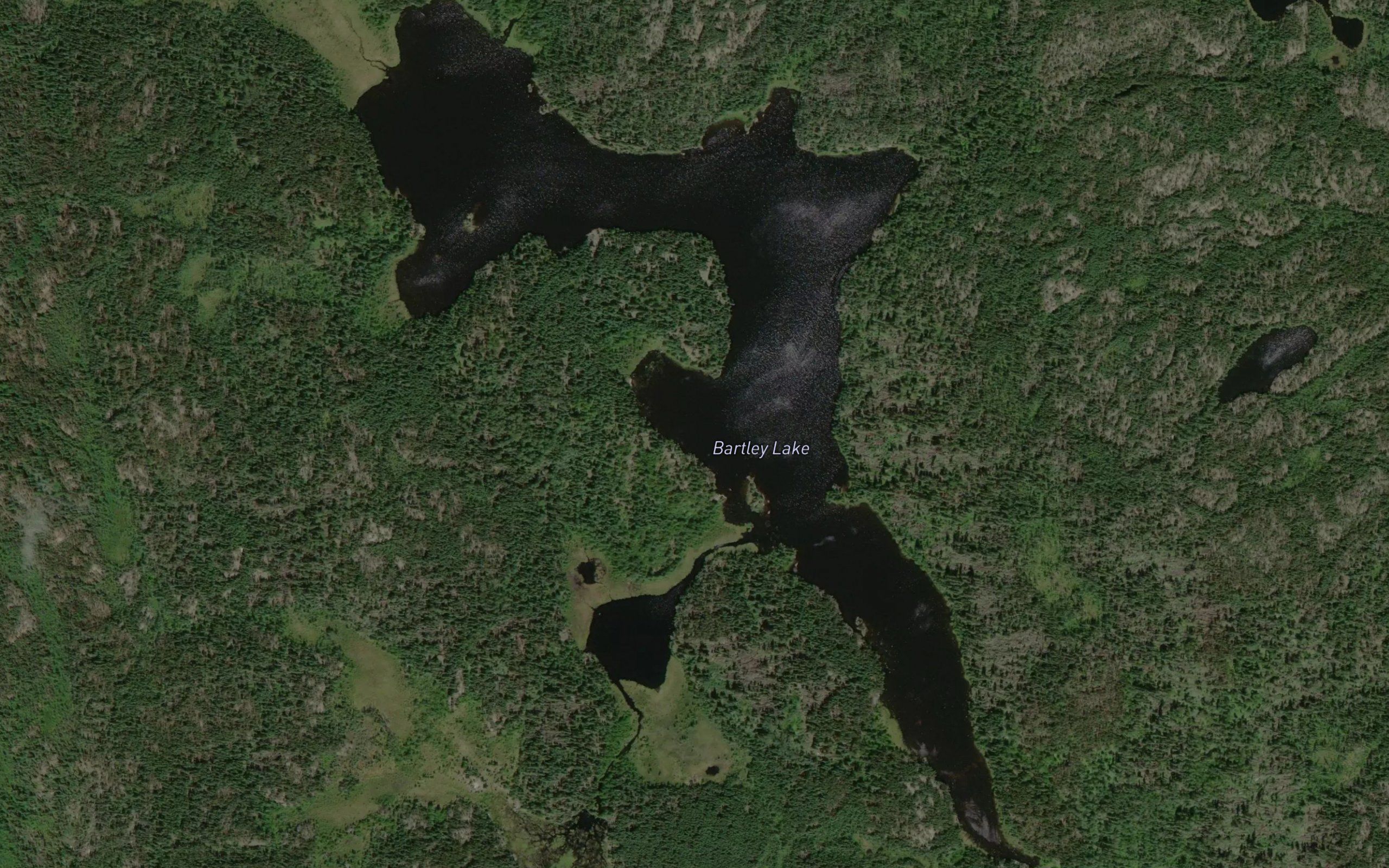 Bartley Lake