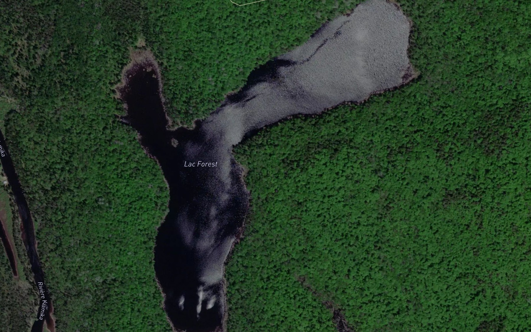 Satellite map of the Lac Forest