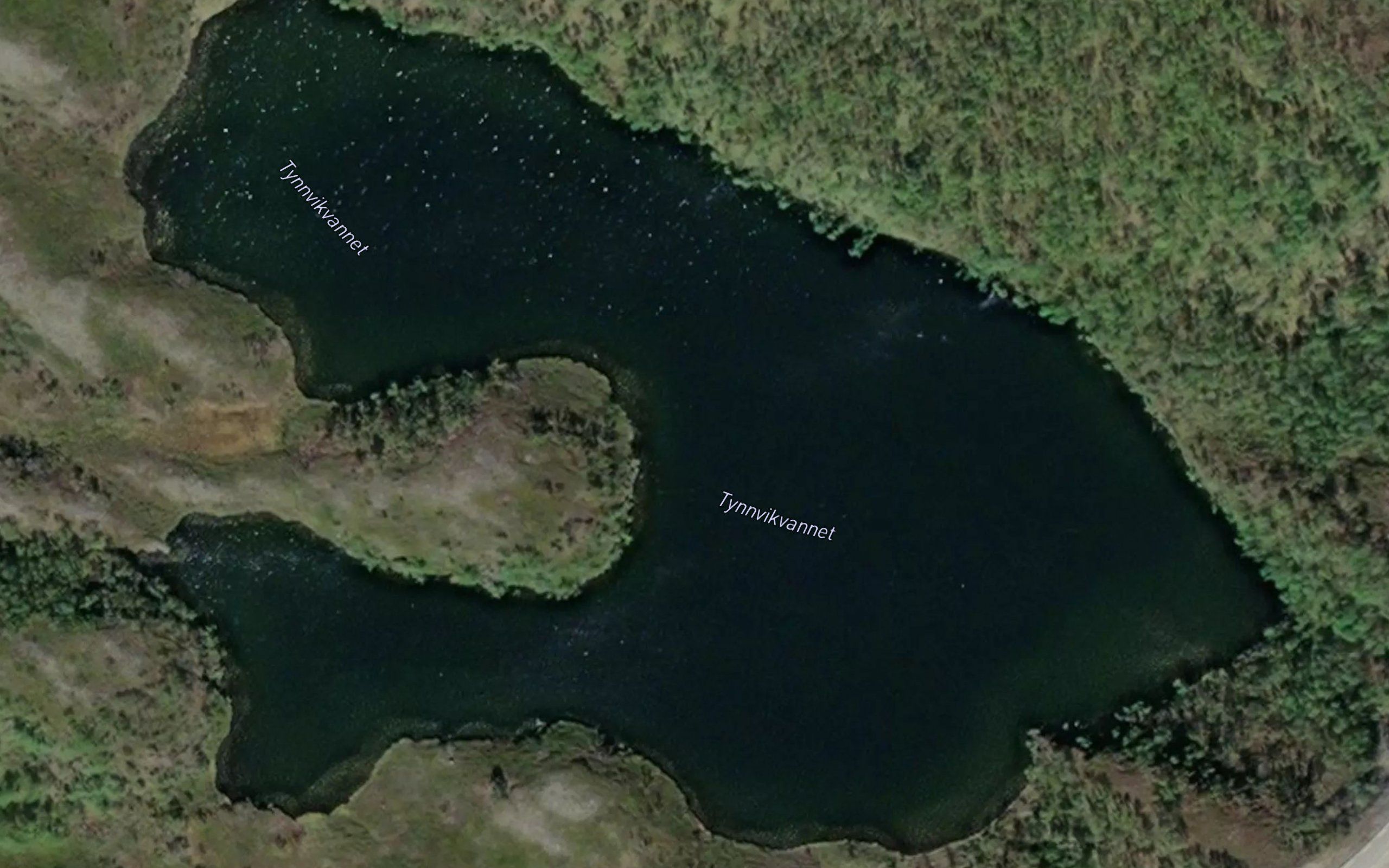 Tynnvikvatnet