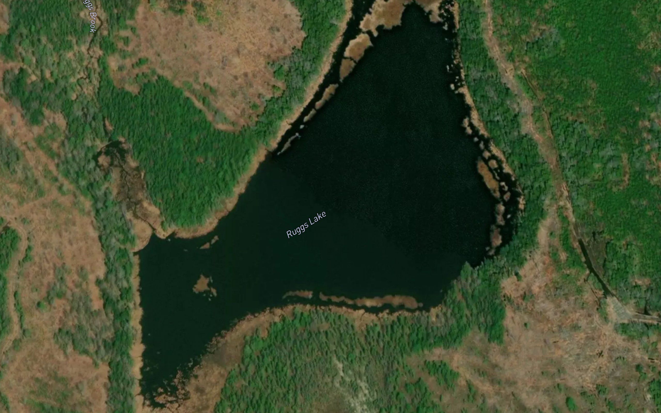 Ruggs Lake