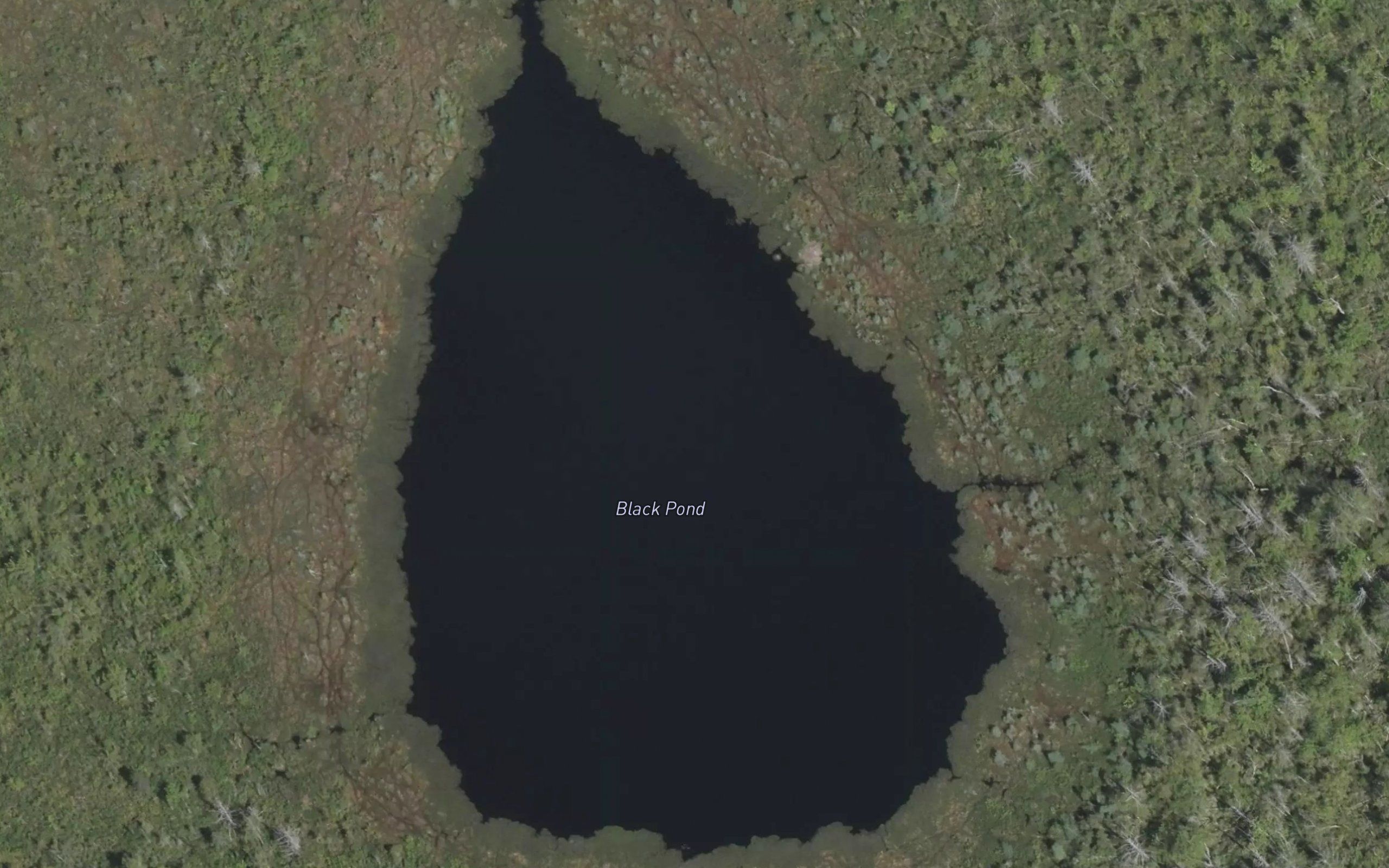 Black Pond