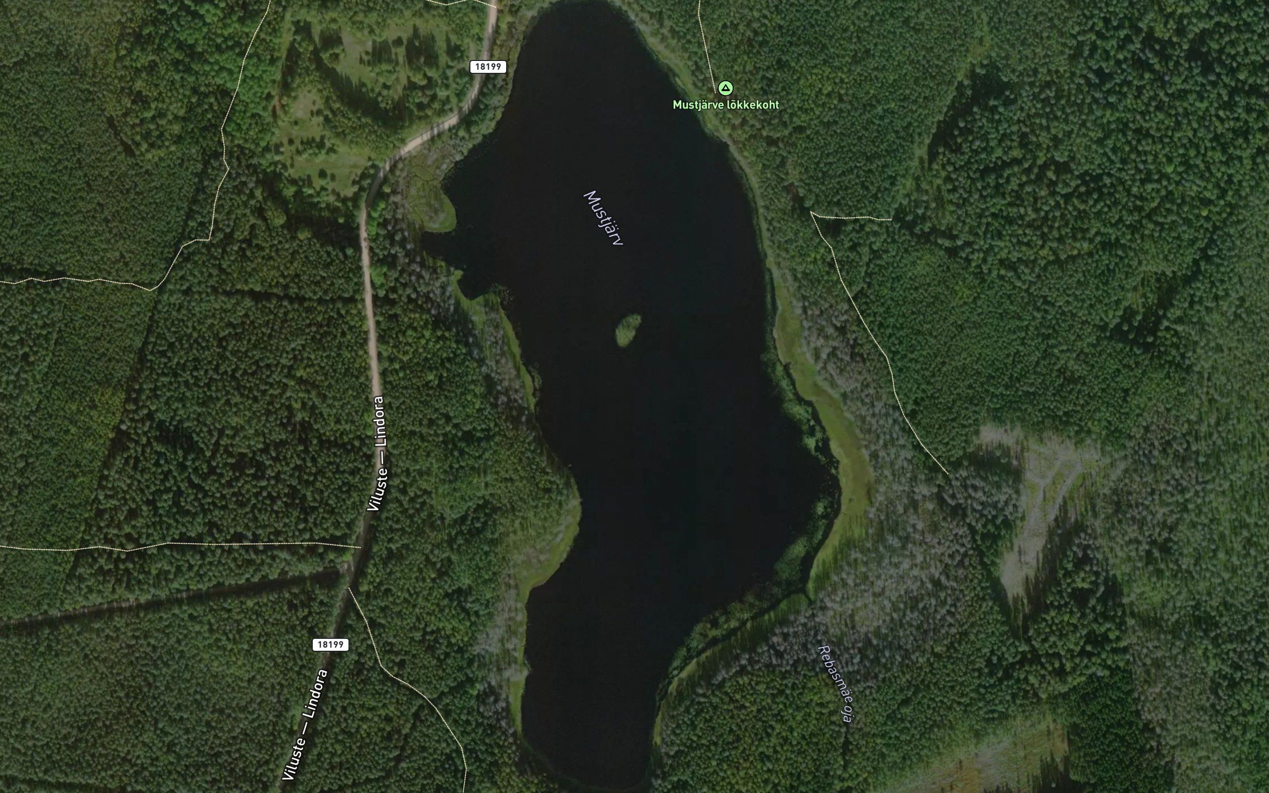 Nohipalu Mustjarv