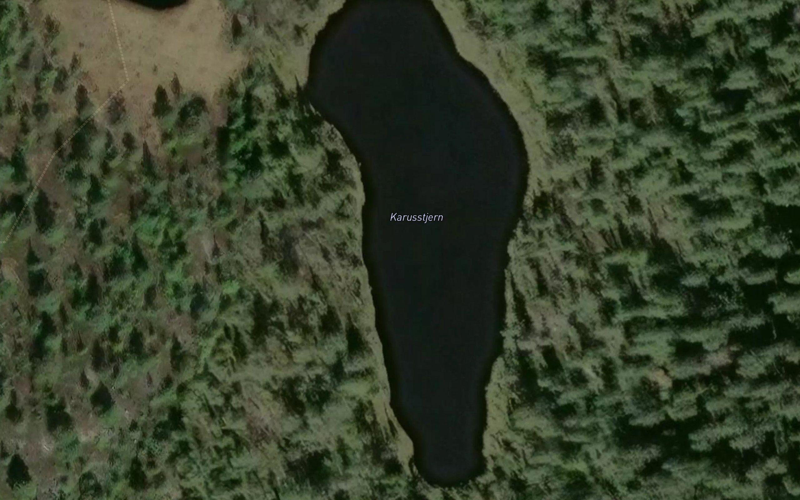 Karusstjern