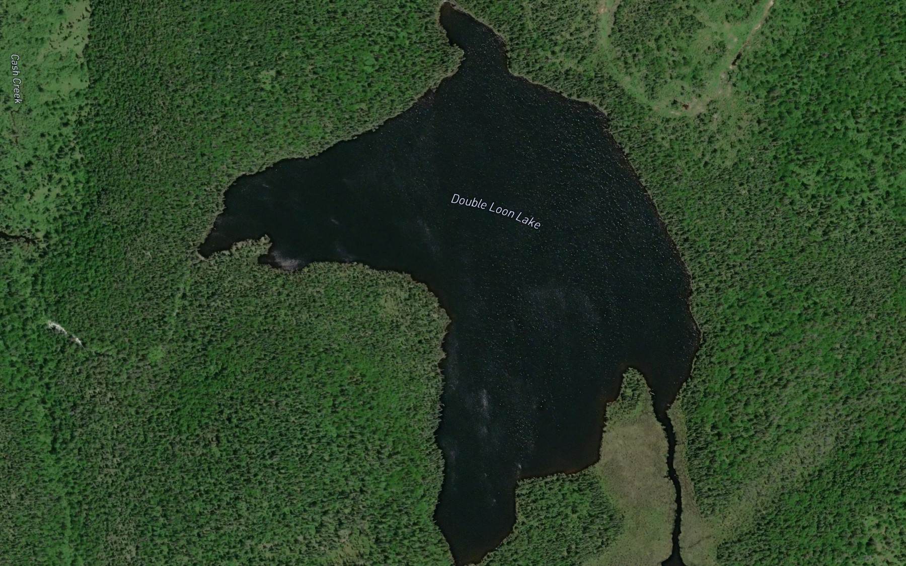 Satellite map of the Double Loon Lake