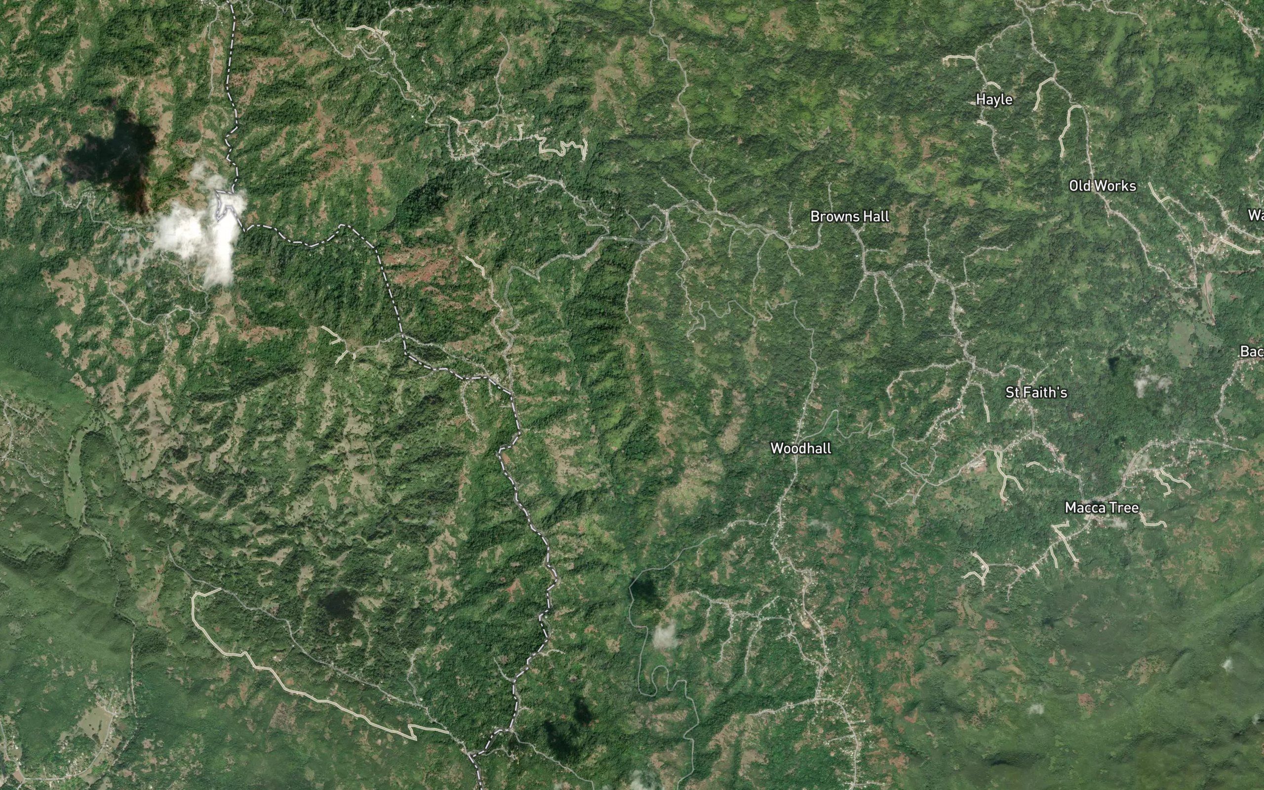 Davis Gully