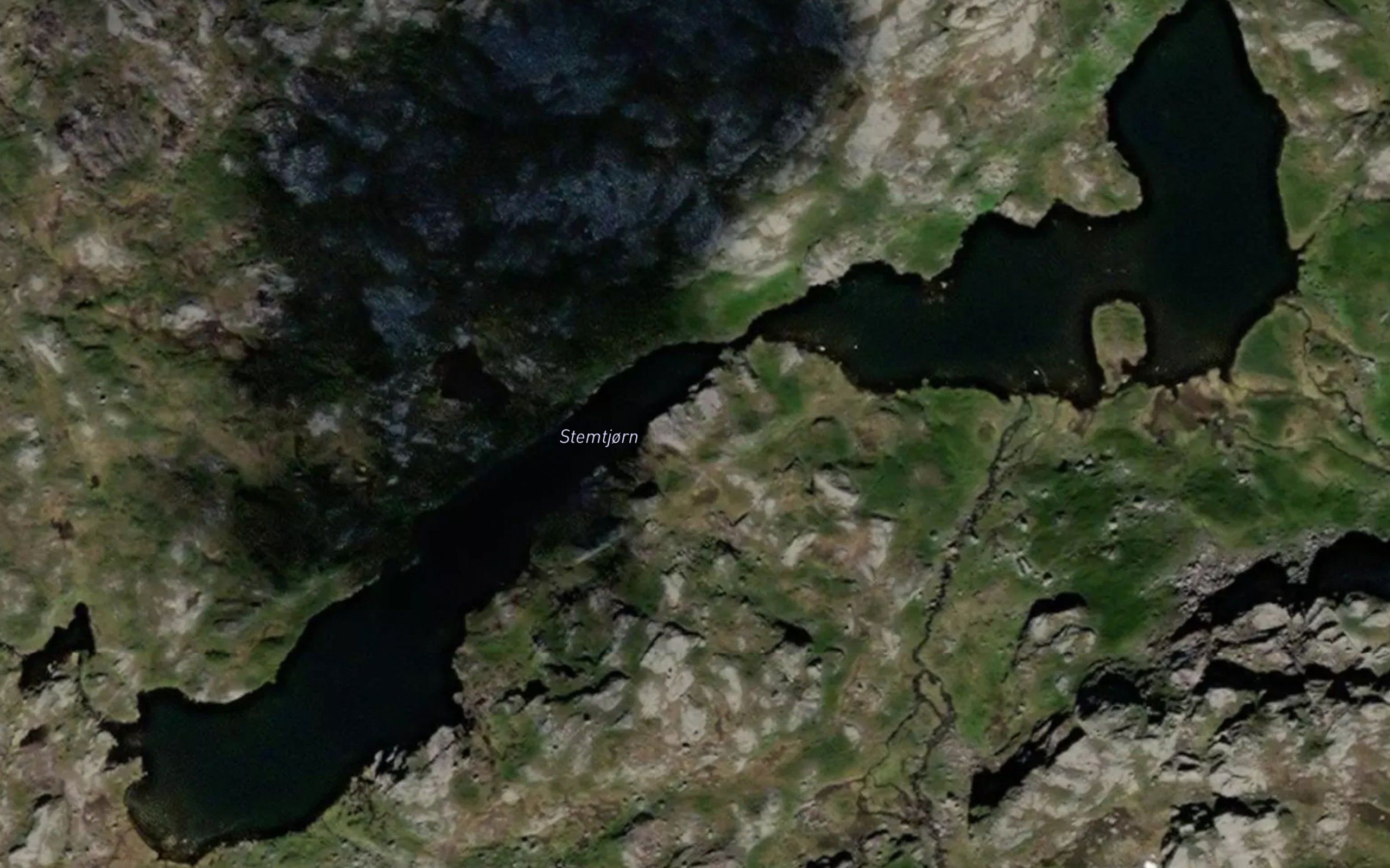 Stemtjorn