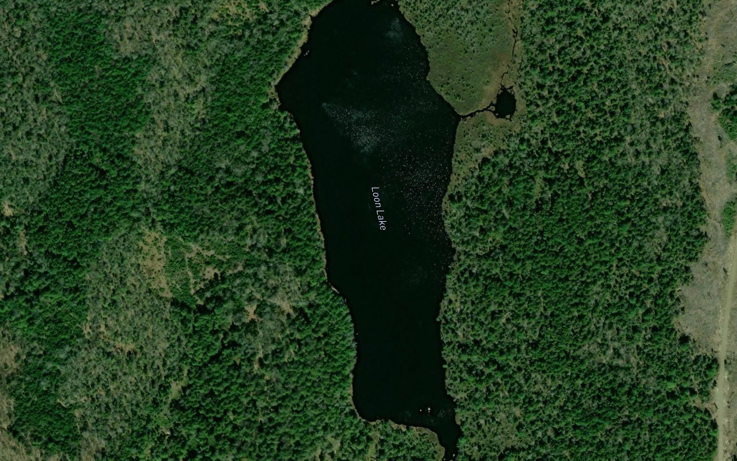 Loon Lake