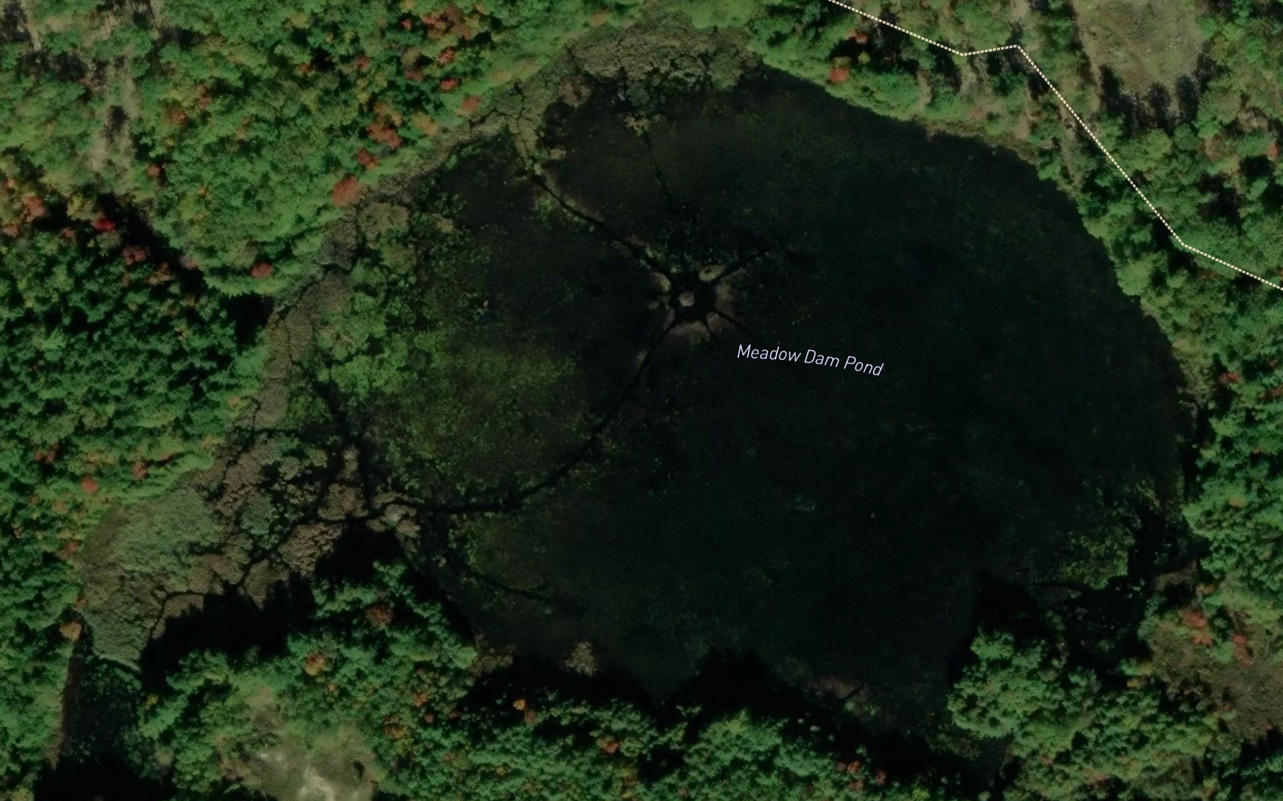 Meadow Dam Pond
