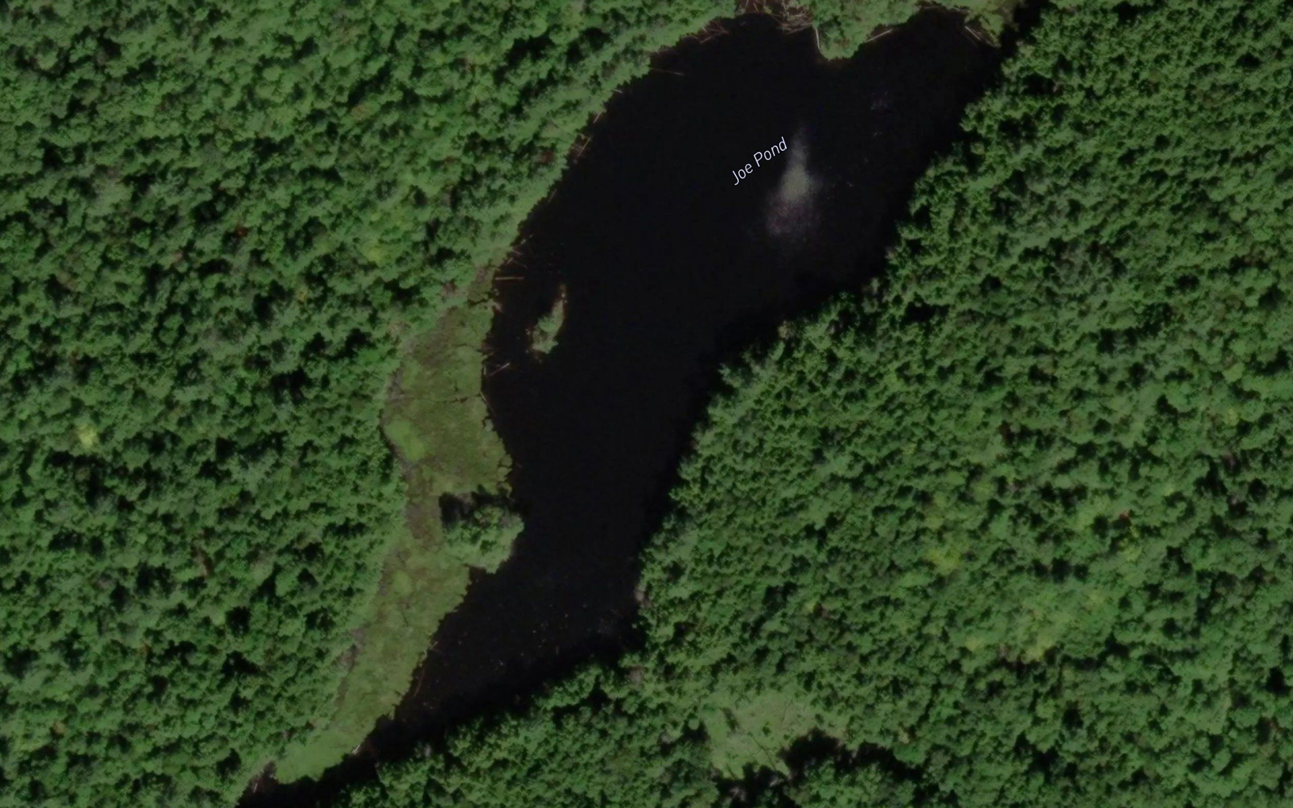 Joe Pond