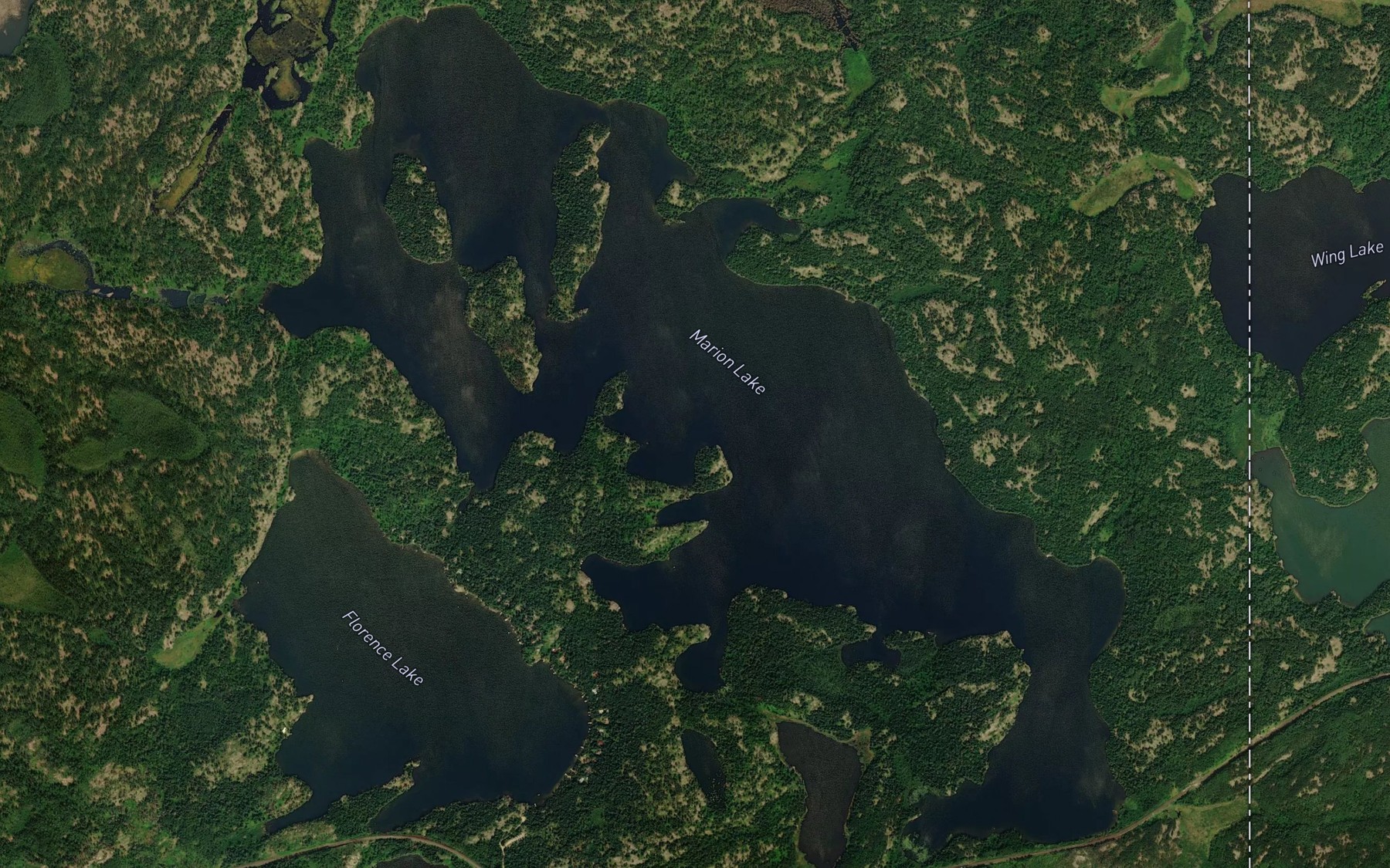 Satellite map of the Marion Lake
