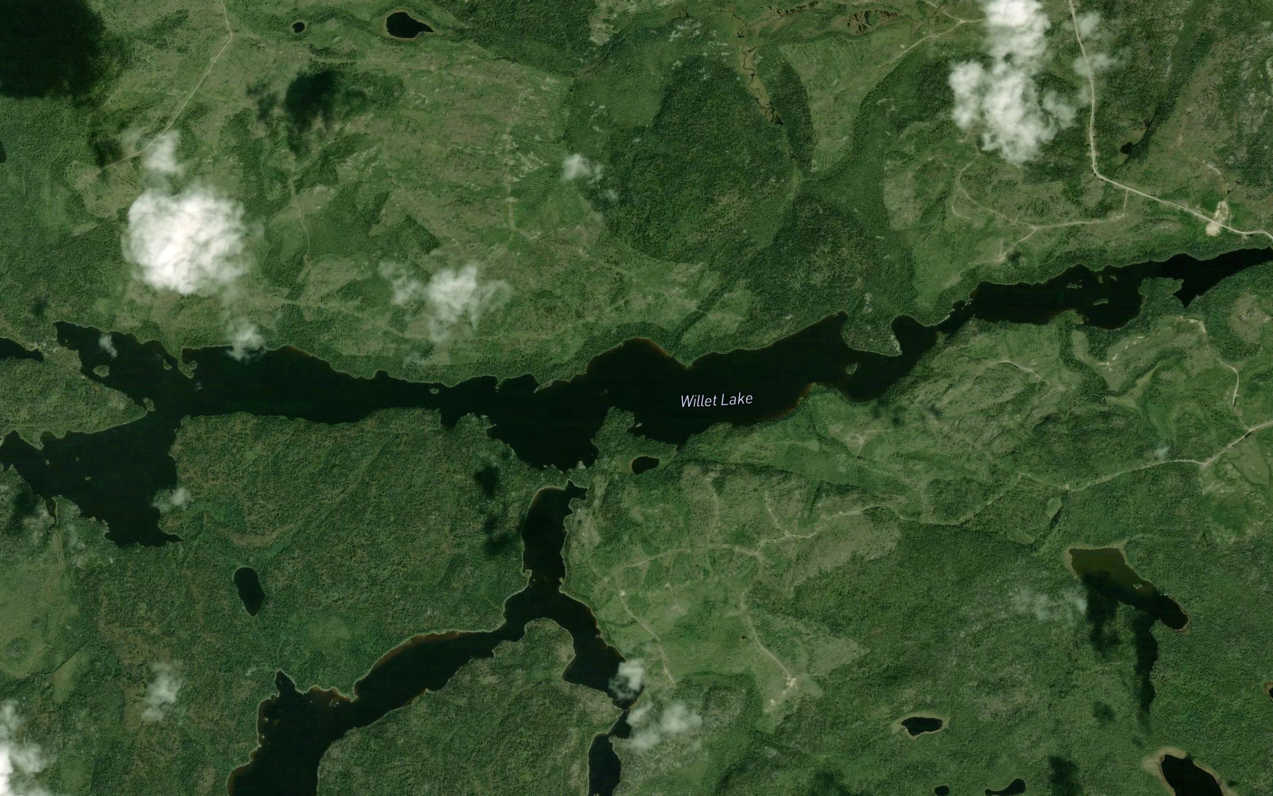 Willet Lake
