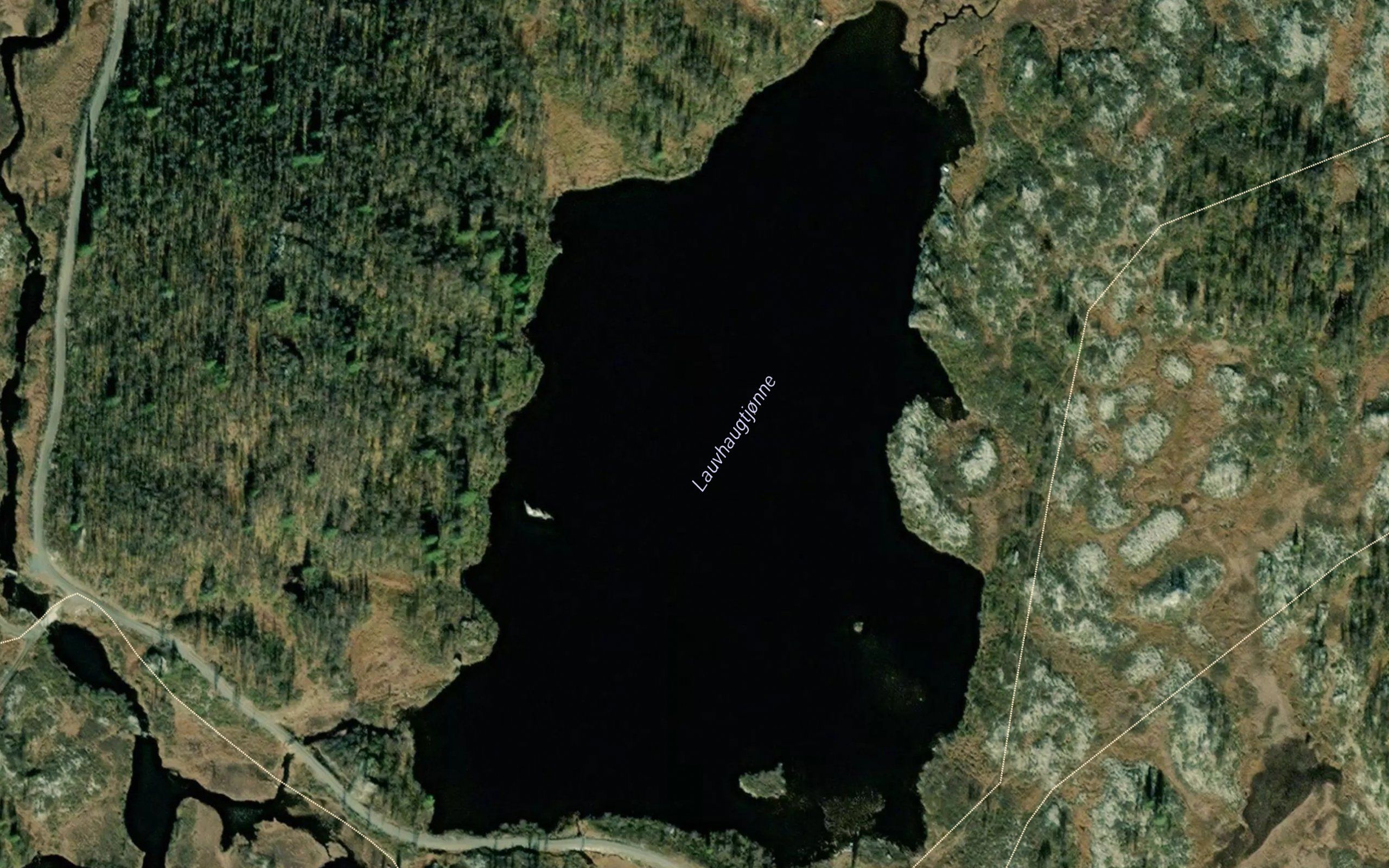 Lauvhaugtjorni