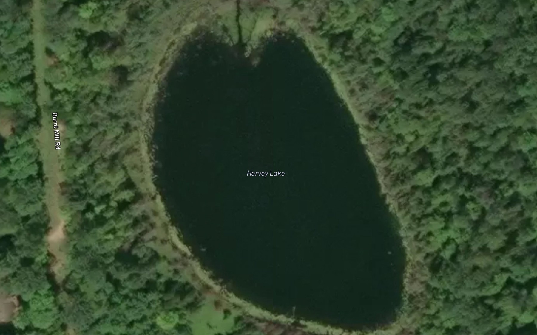 Satellite map of the Harvey Lake