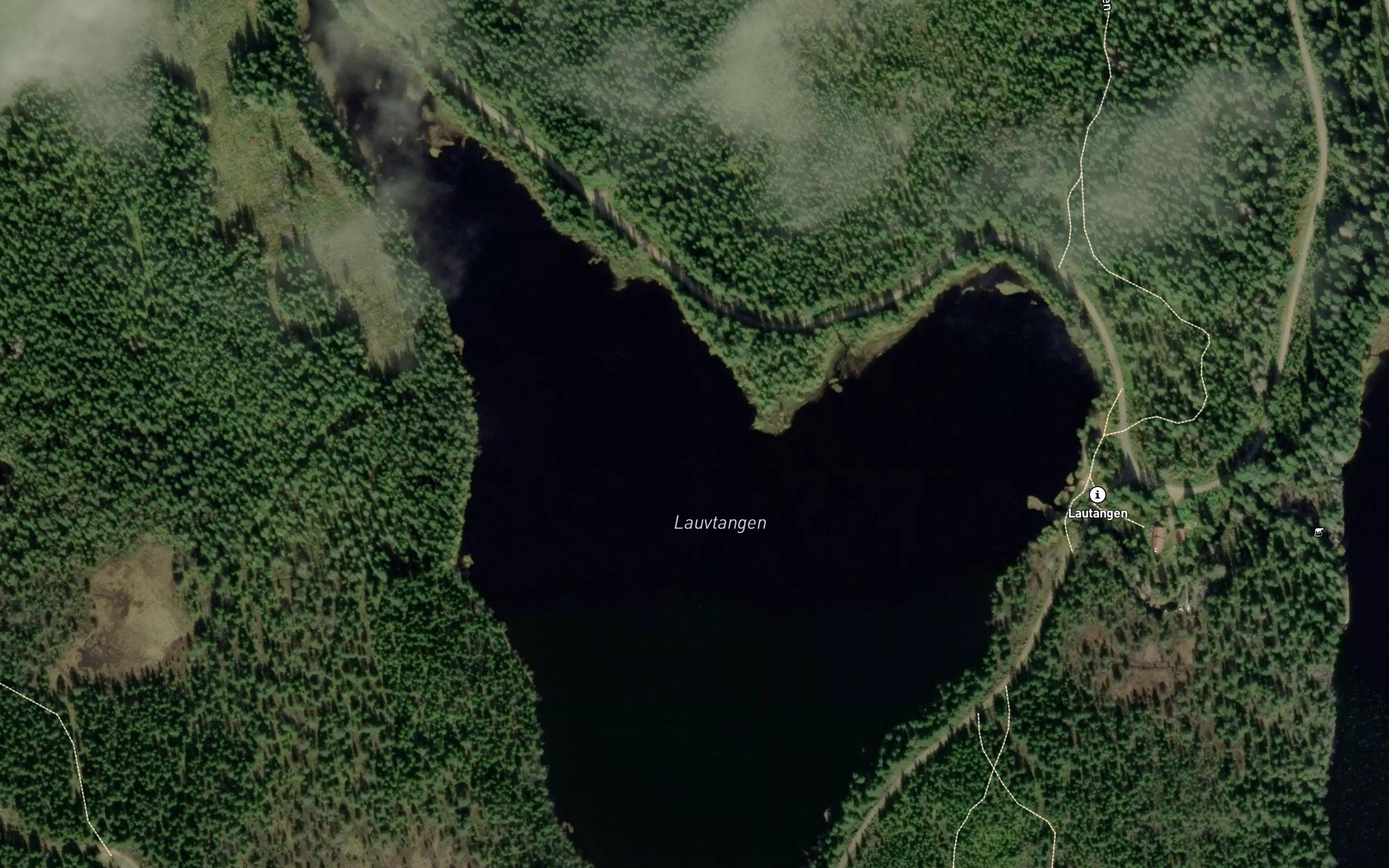 Lauvtangen