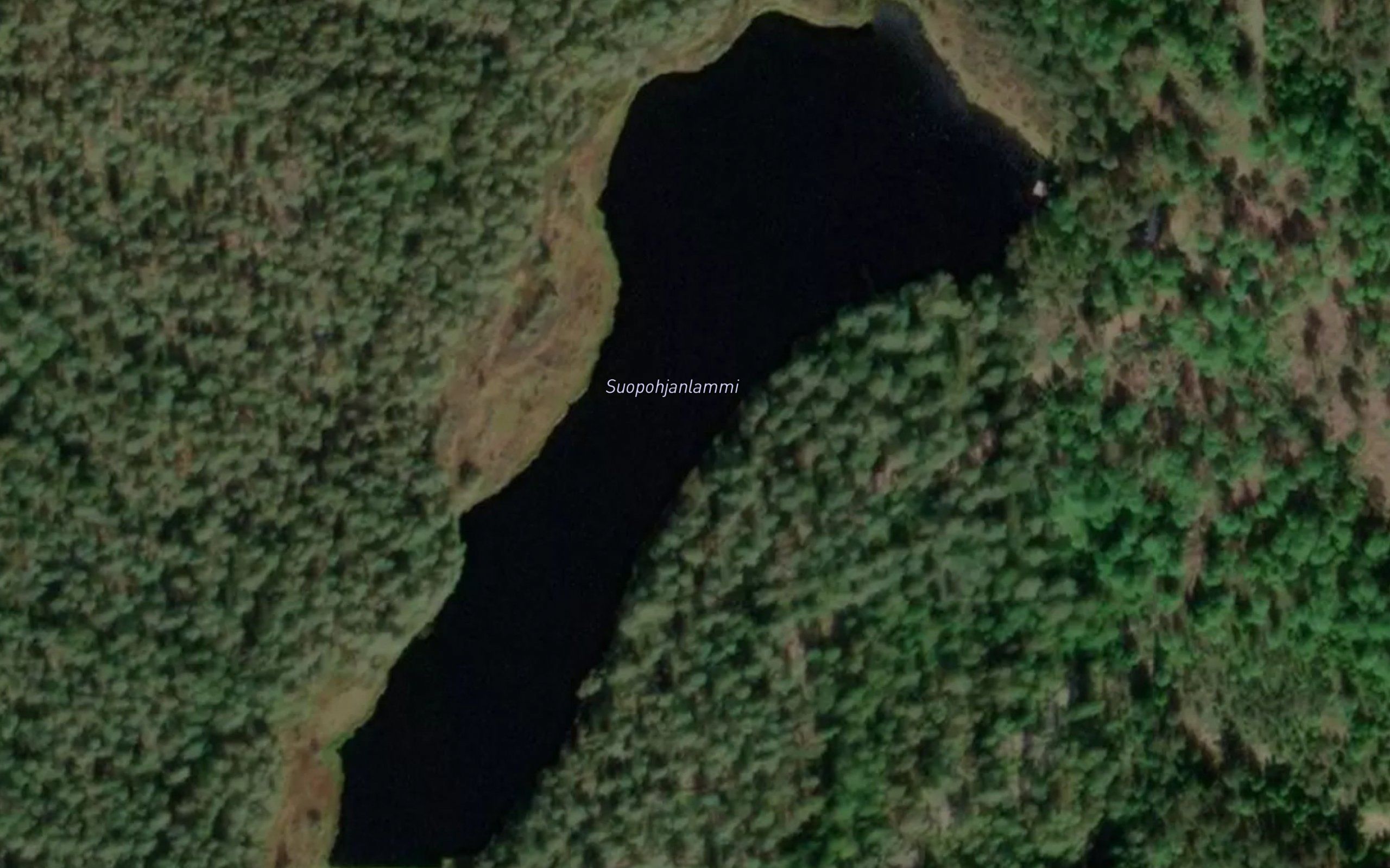 Suopohjanlammi