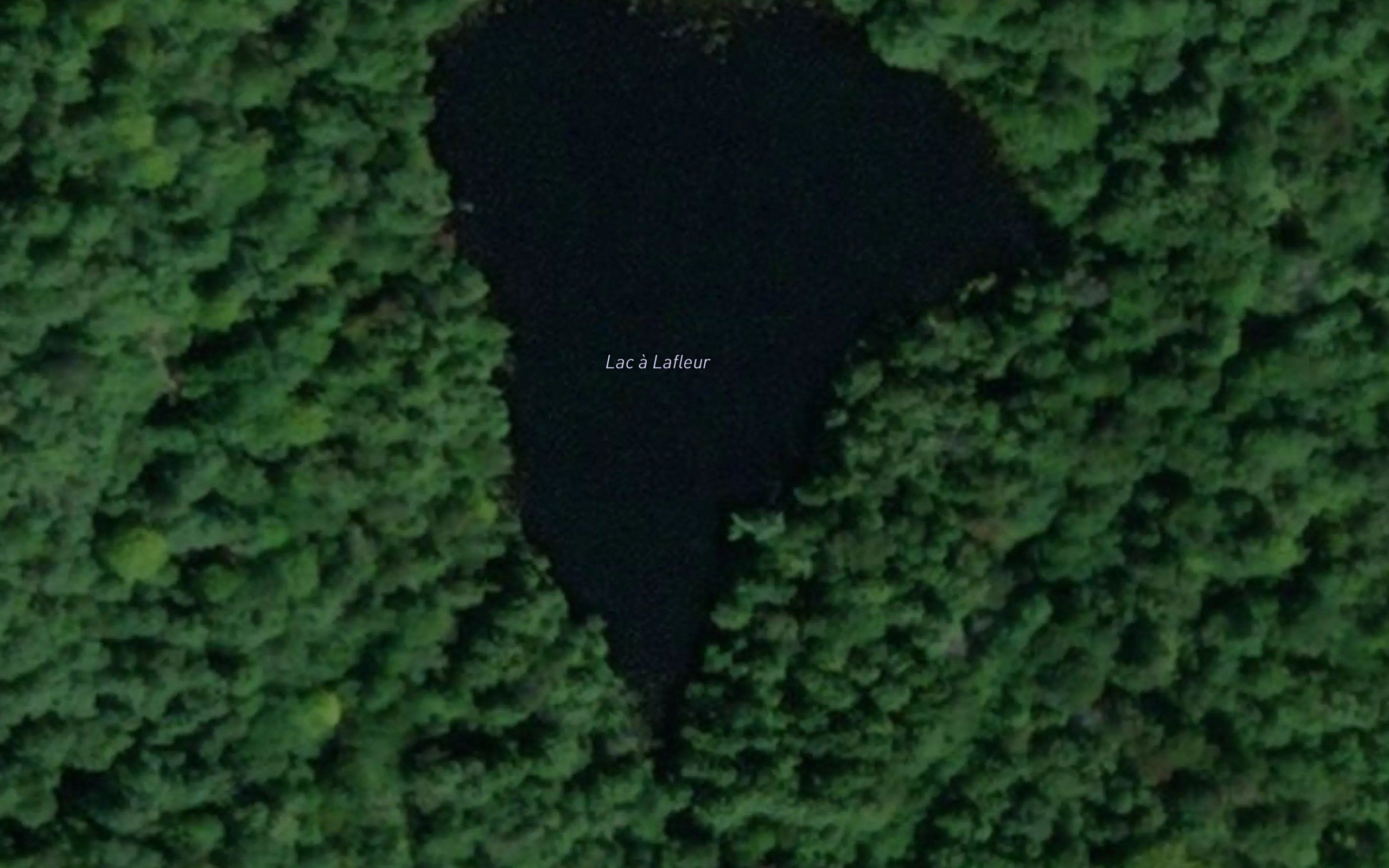 Lac a Lafleur