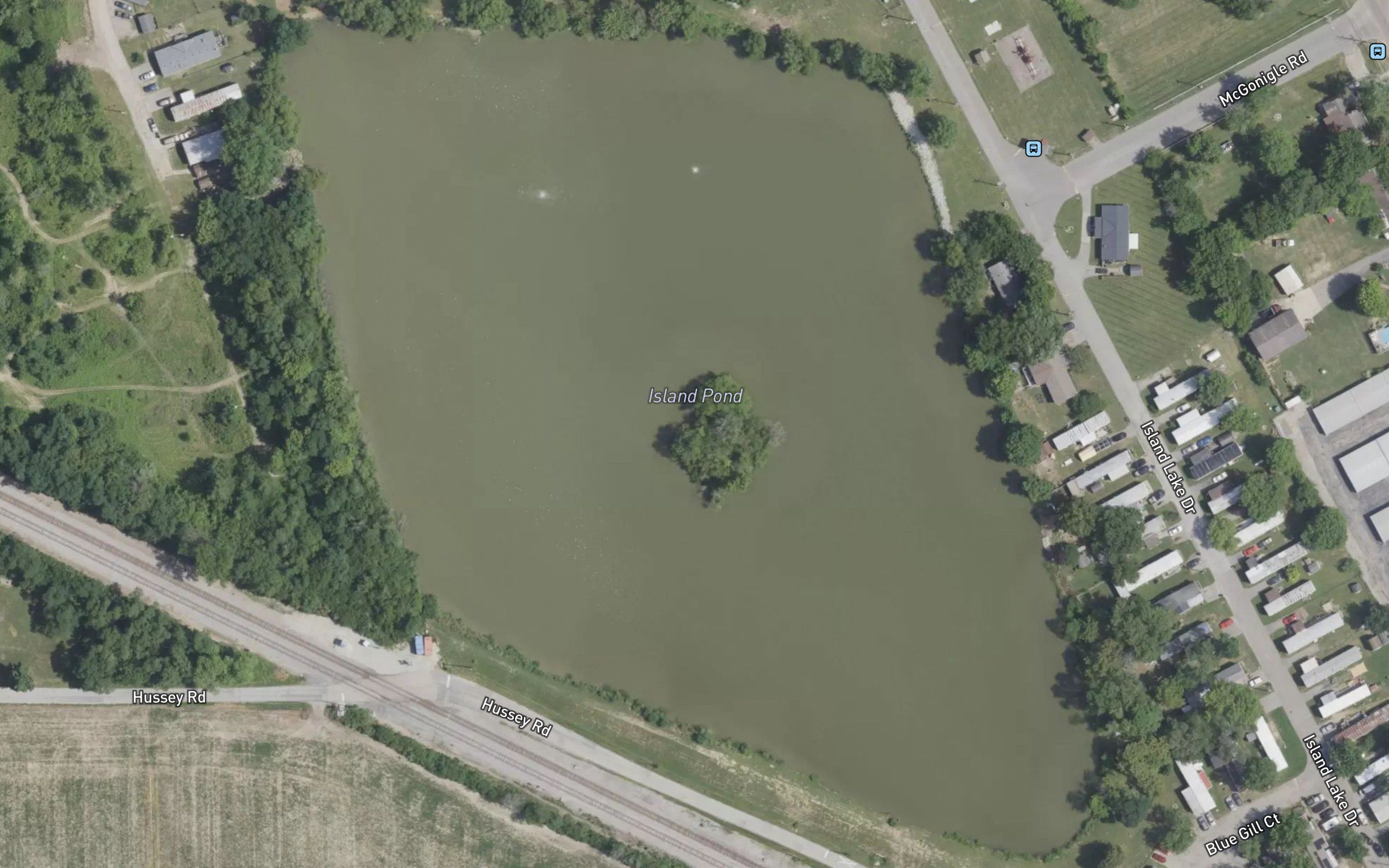Island Pond