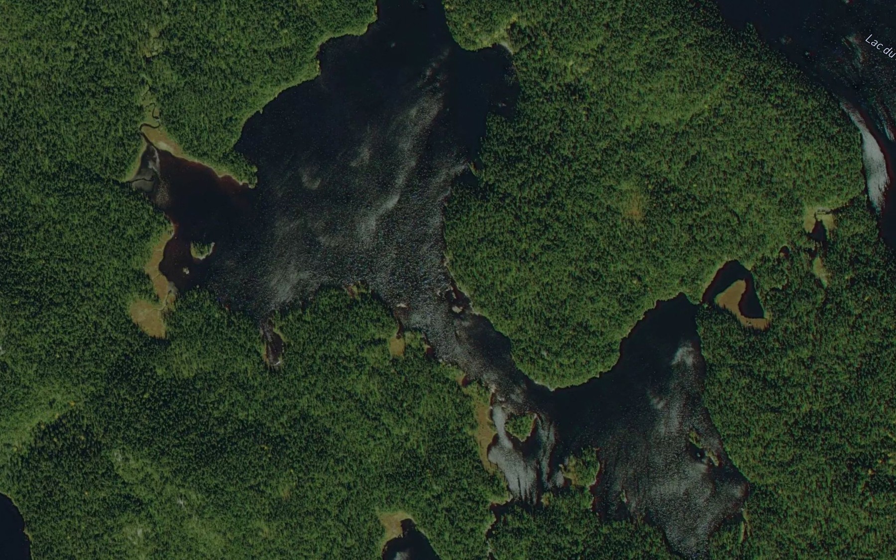 Satellite map of the Lac de la Chance