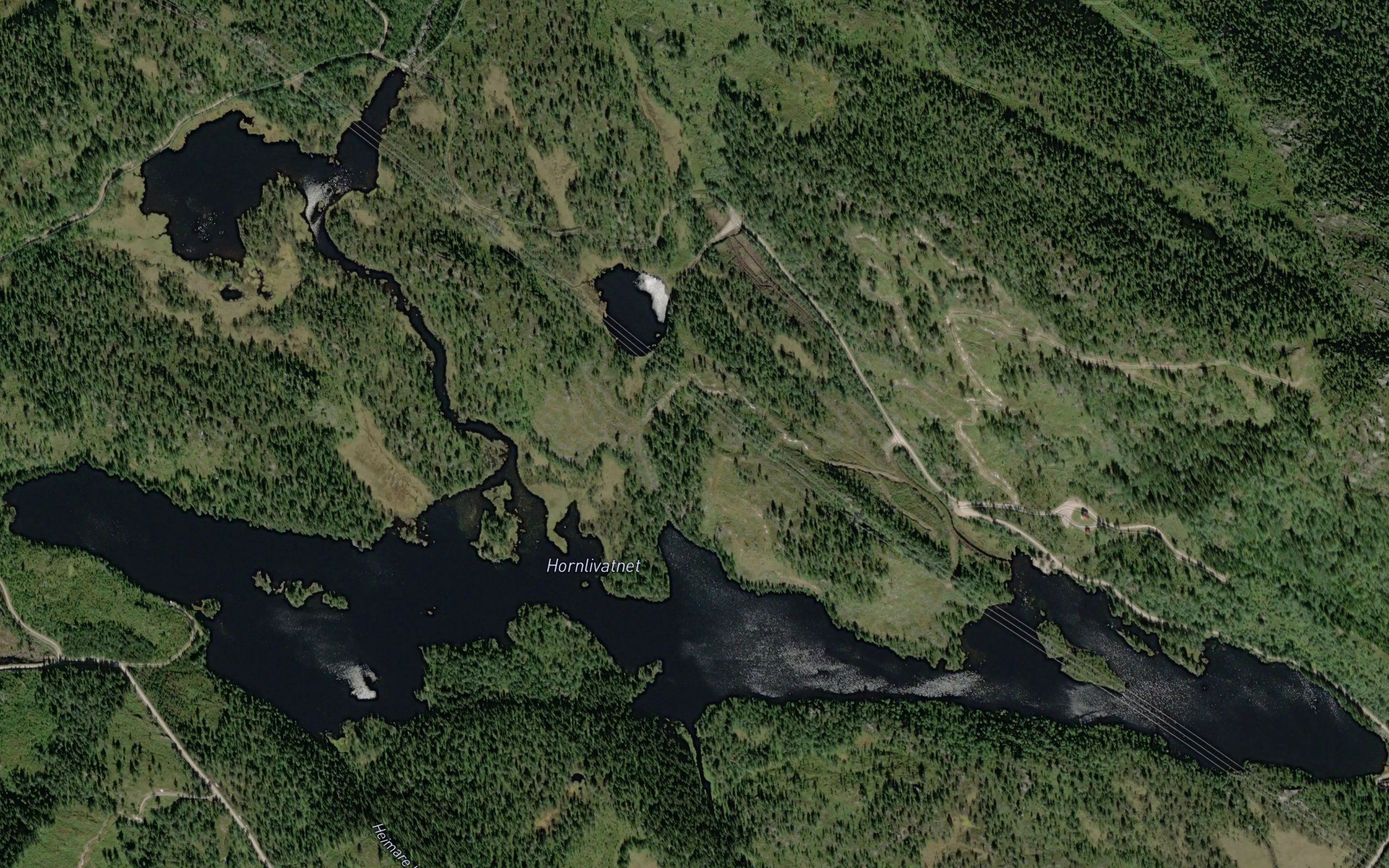 Hornlivatnet