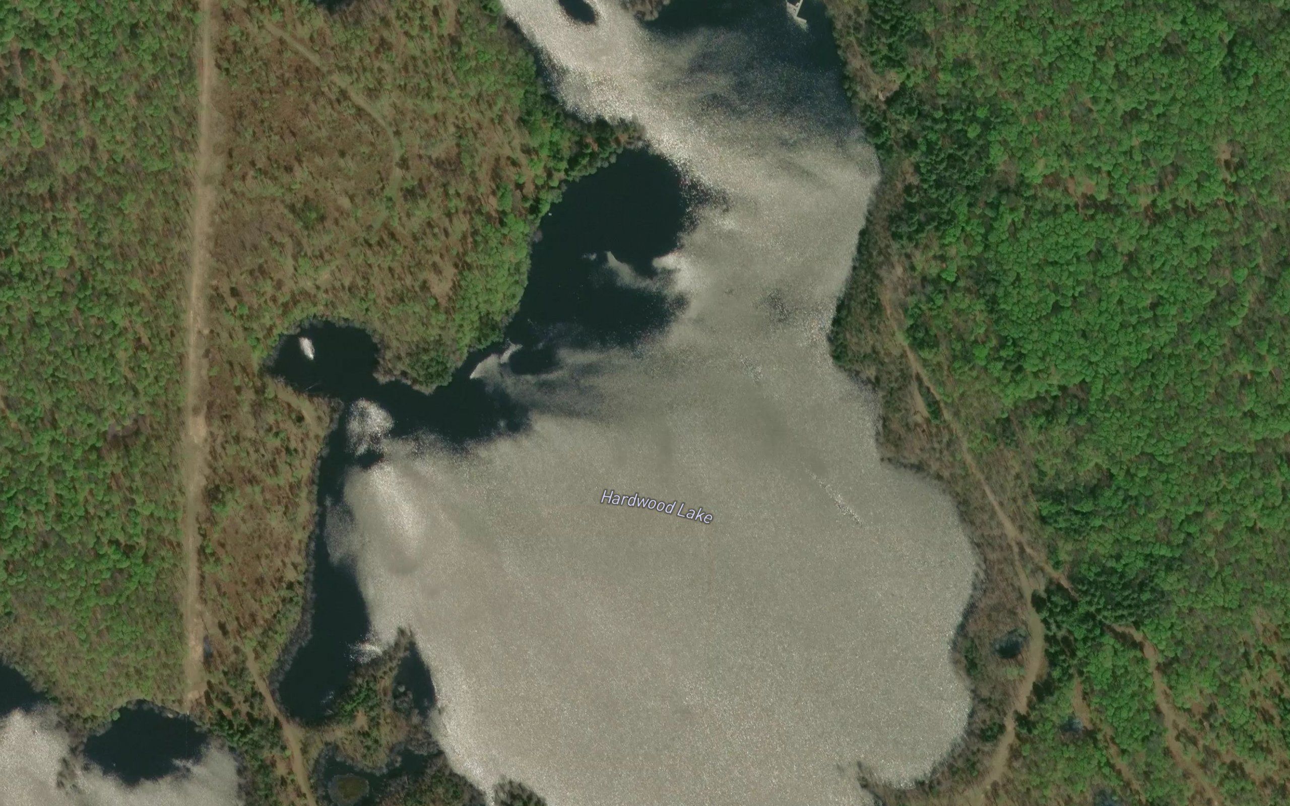 Hardwood Lake
