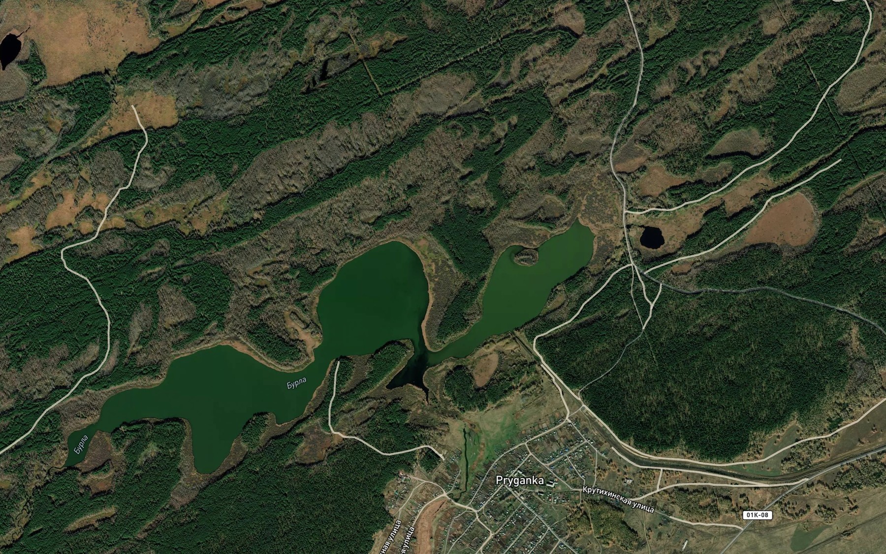 Satellite map of the Ozero Pryganskoye