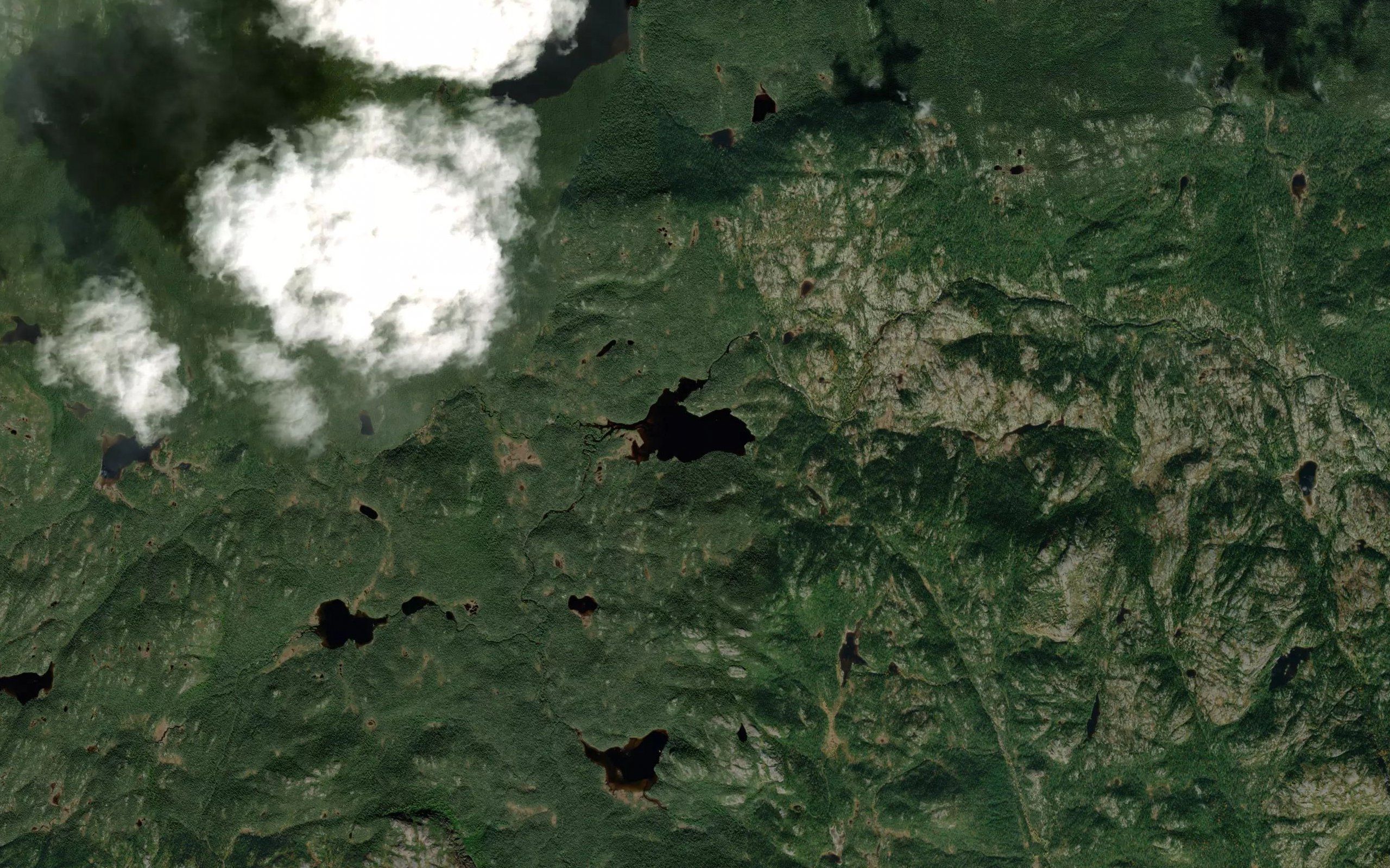 Lac de la Bernache