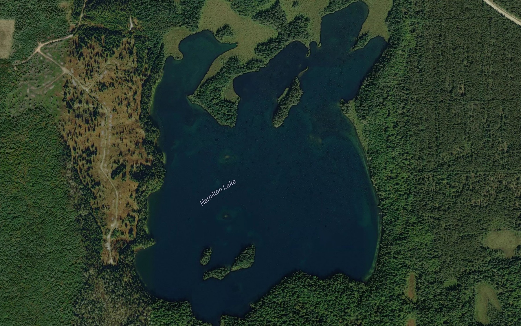 Satellite map of the Hamilton Lake