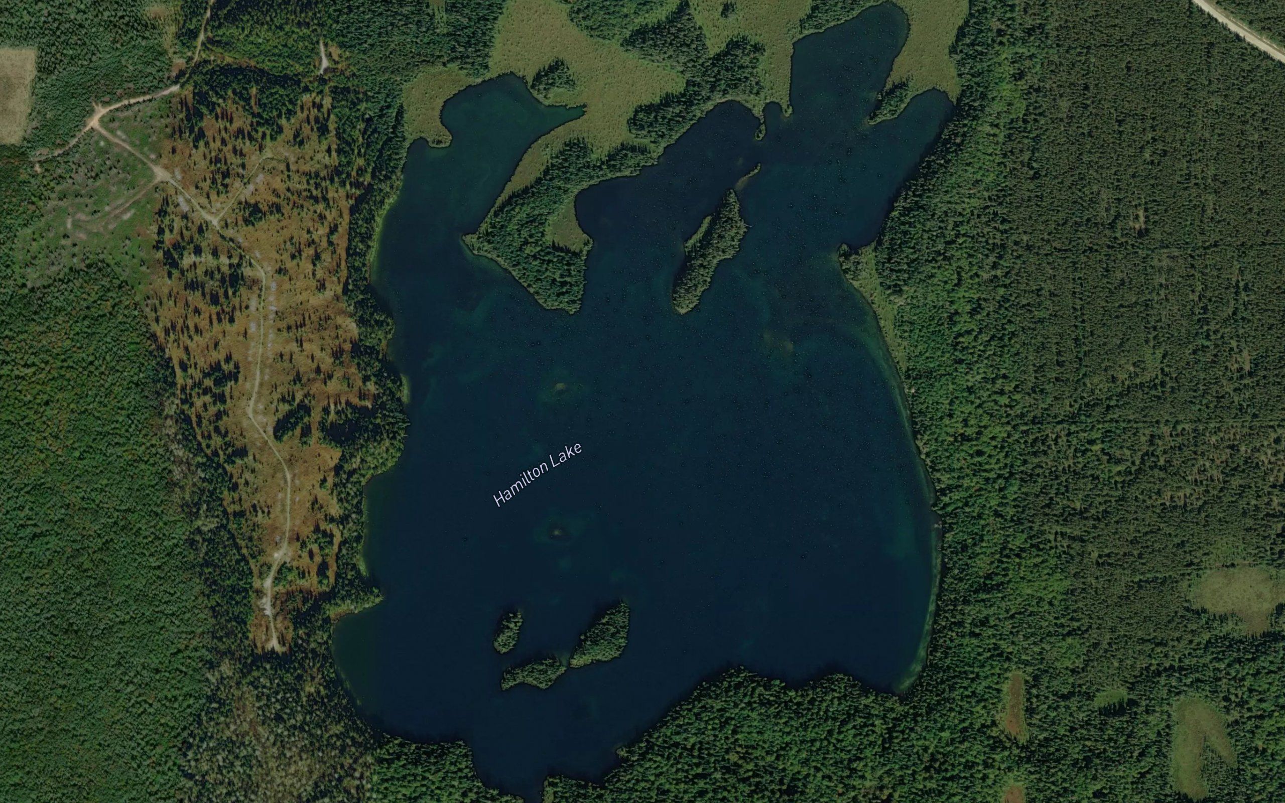 Hamilton Lake