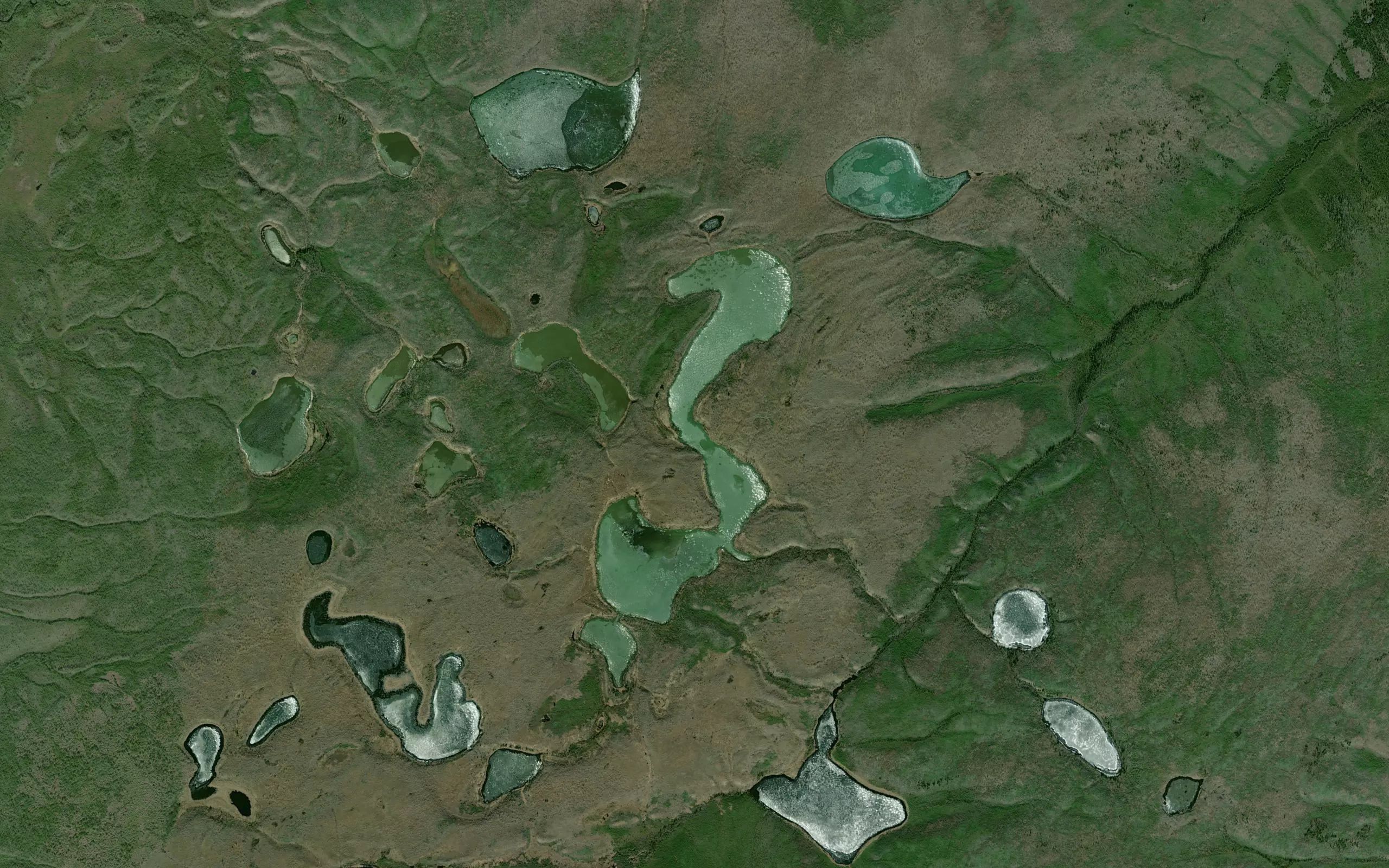 Muddy Lake