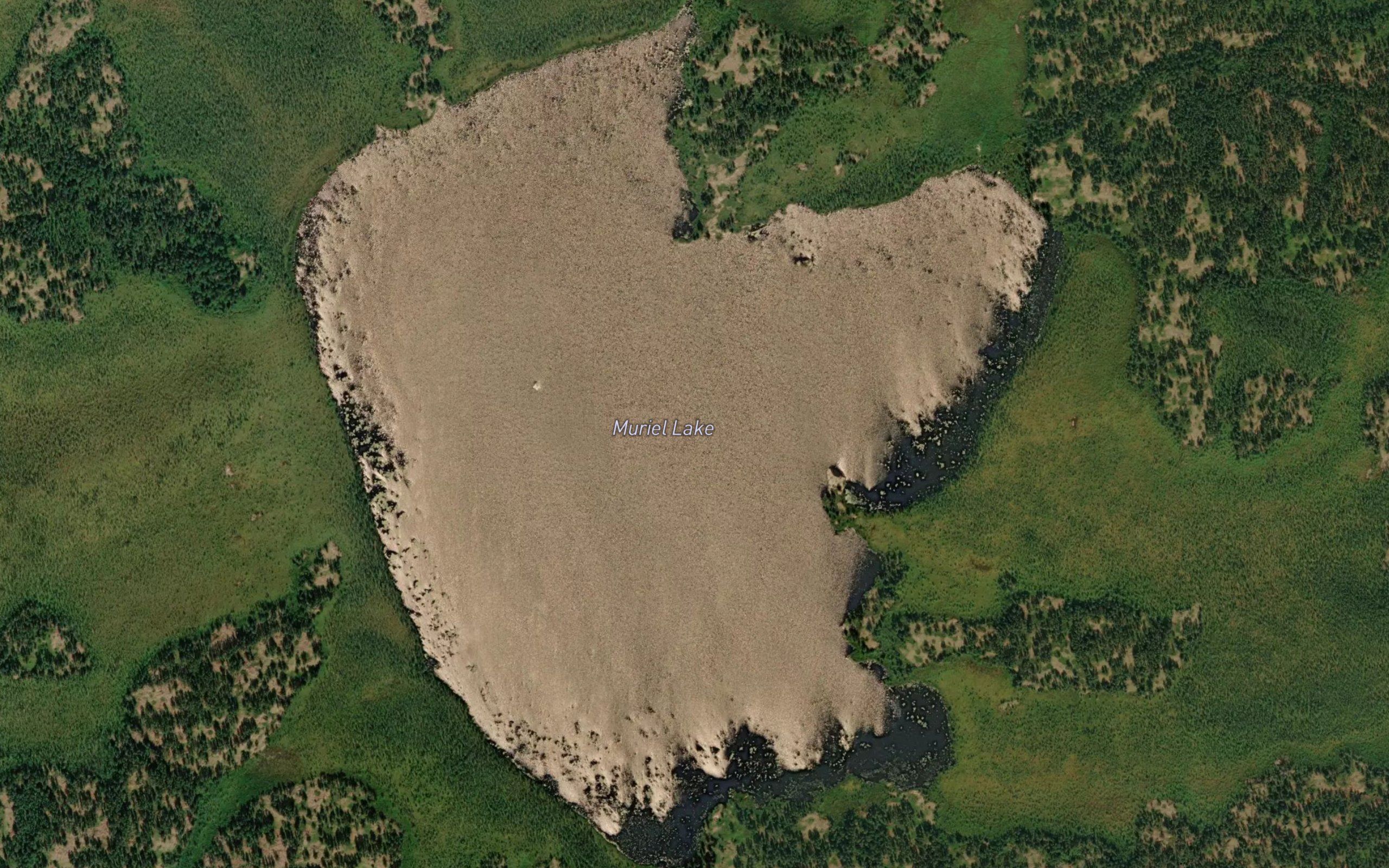 Muriel Lake