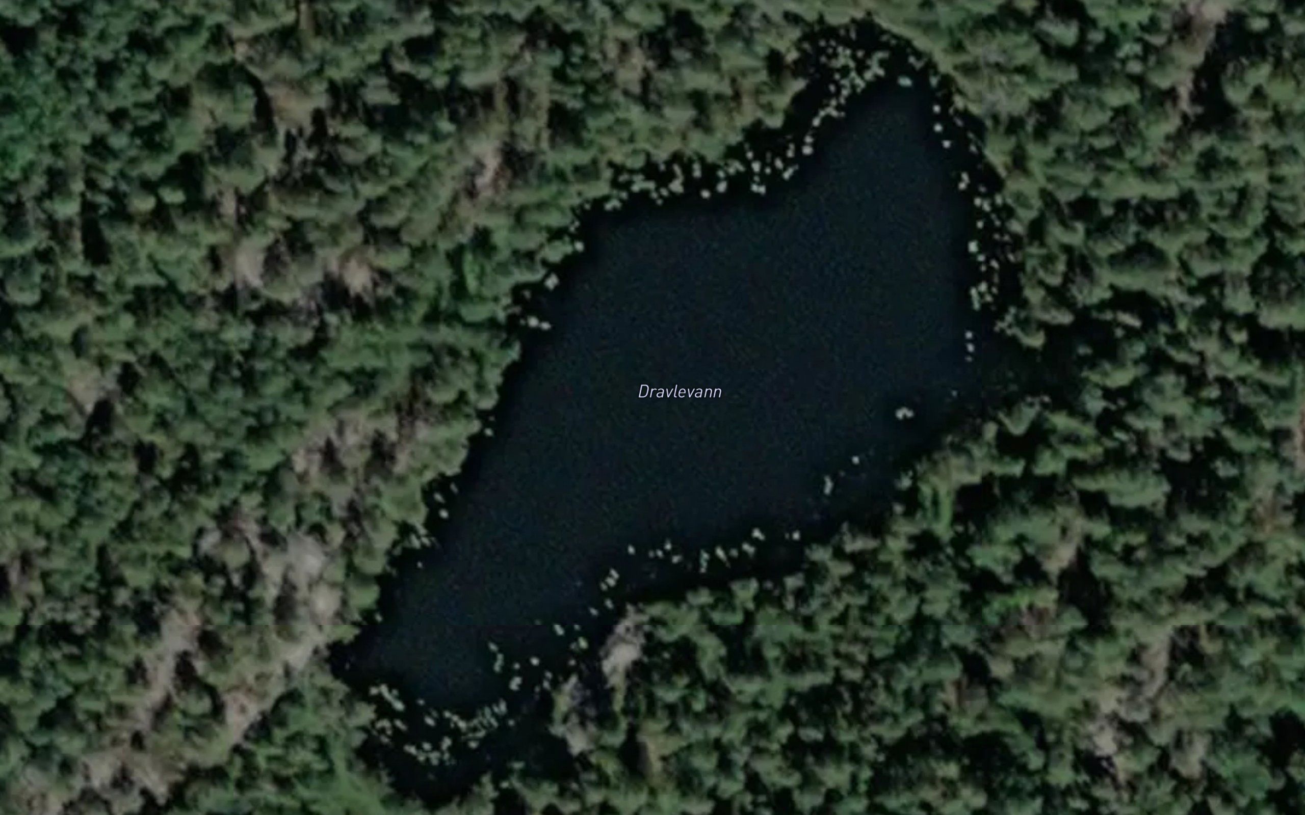 Dravlevann